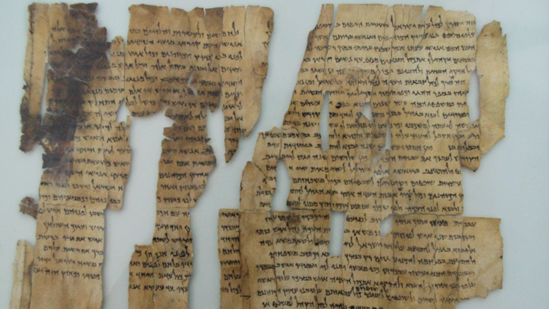 File:Dead Sea Scroll -- the World's Oldest Secrets.jpg