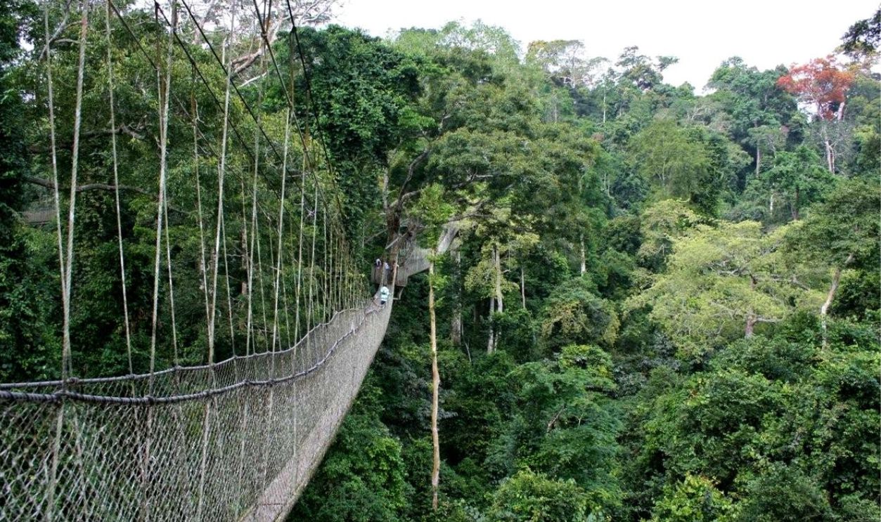 Kakum National Park, Ghana