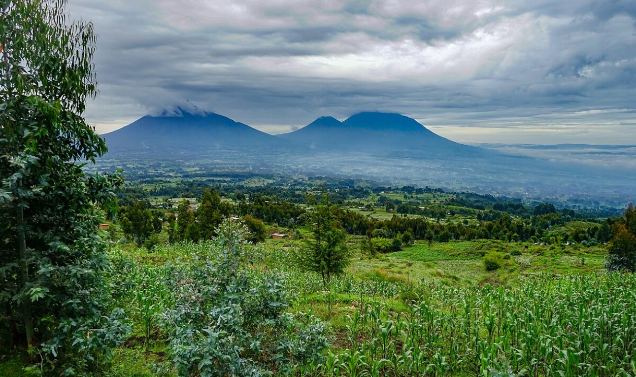Volcanoes National Park, Rwanda