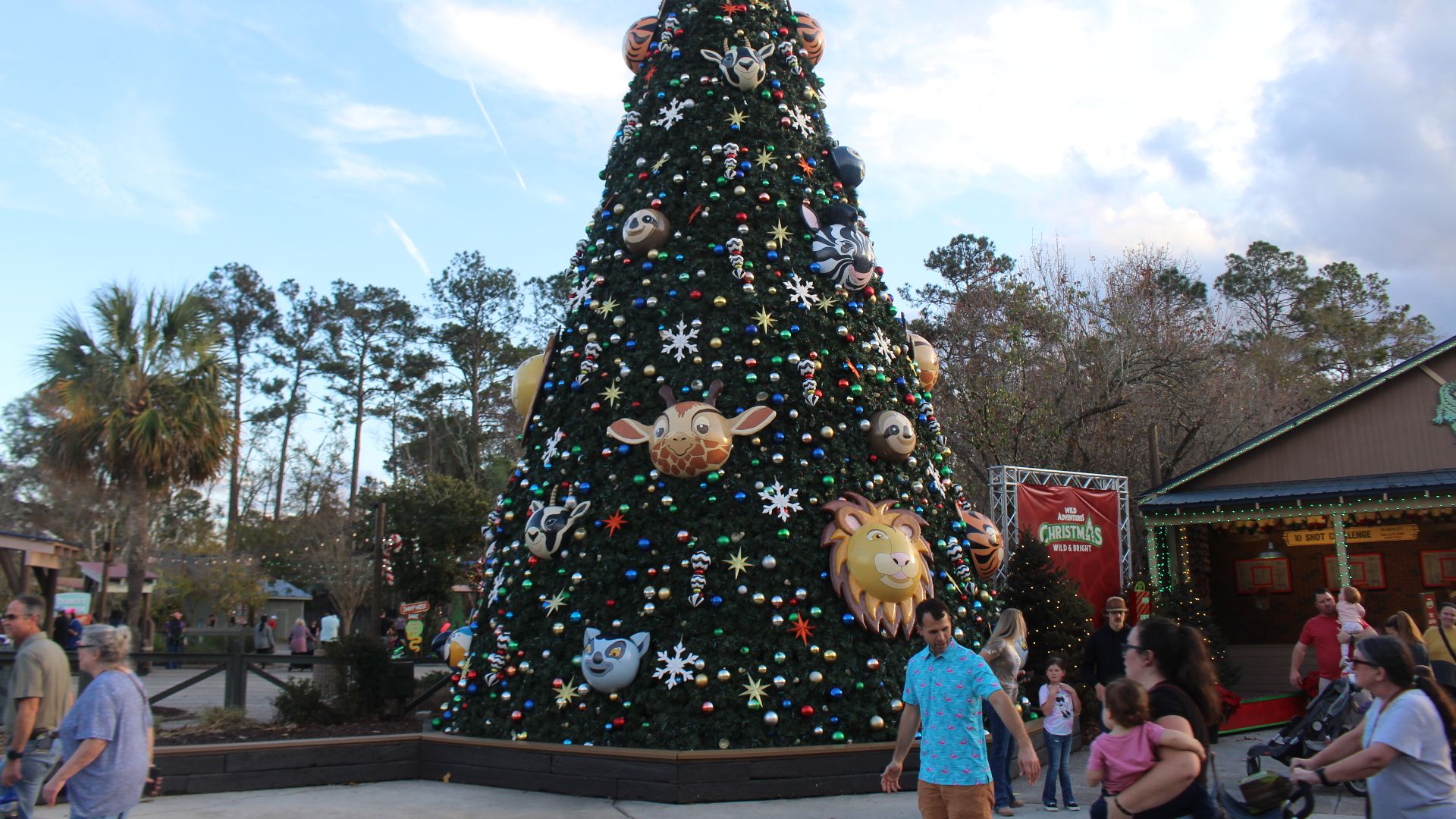 File:Wild Adventures Christmas 2024 02.jpg