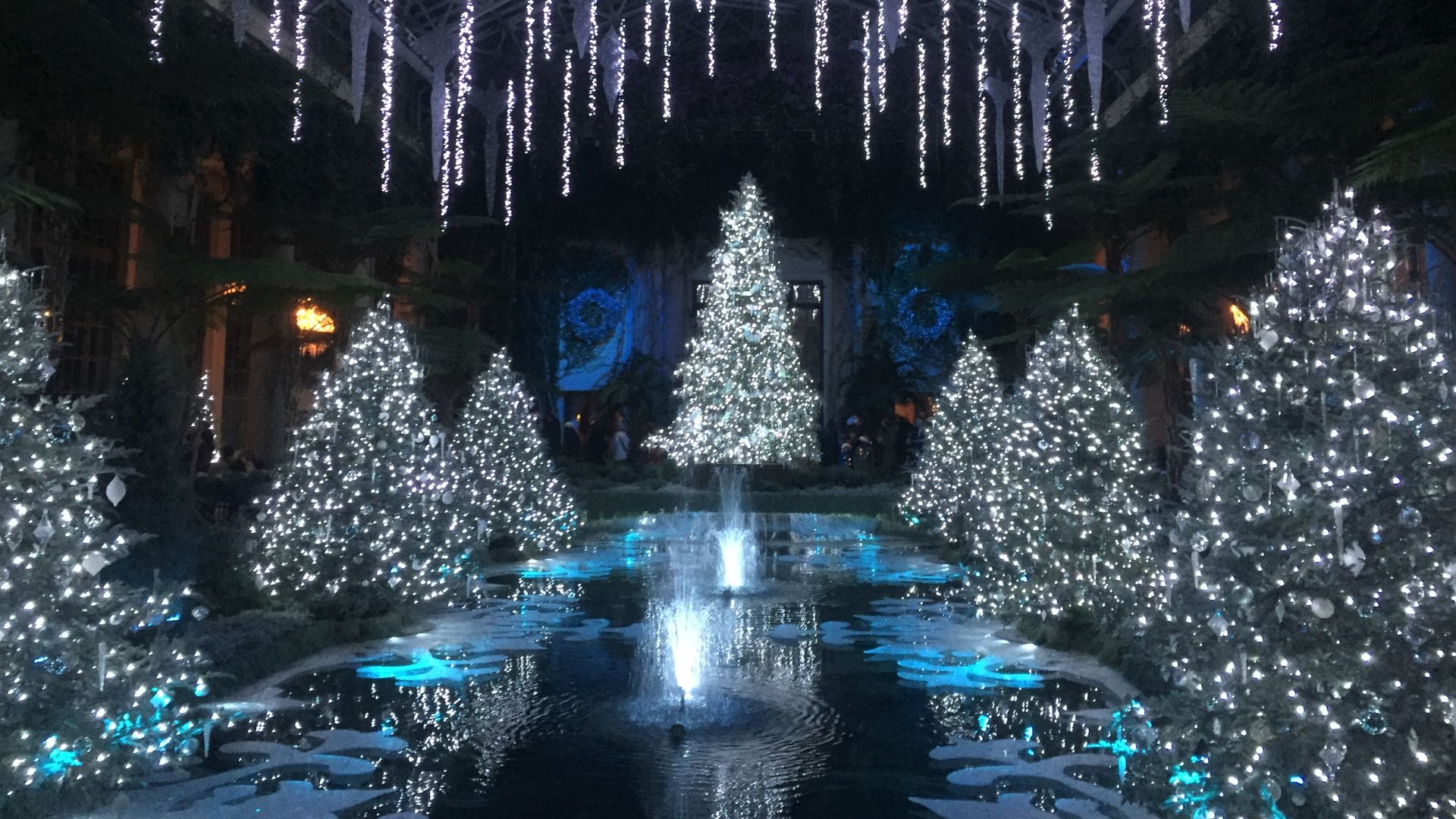 File:Longwood Christmas.jpg