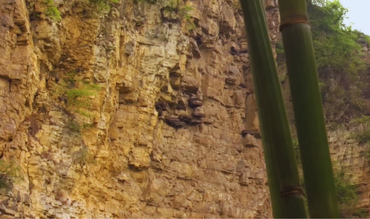 Screenshot from Mysterious Hanging Coffins of China (2008)