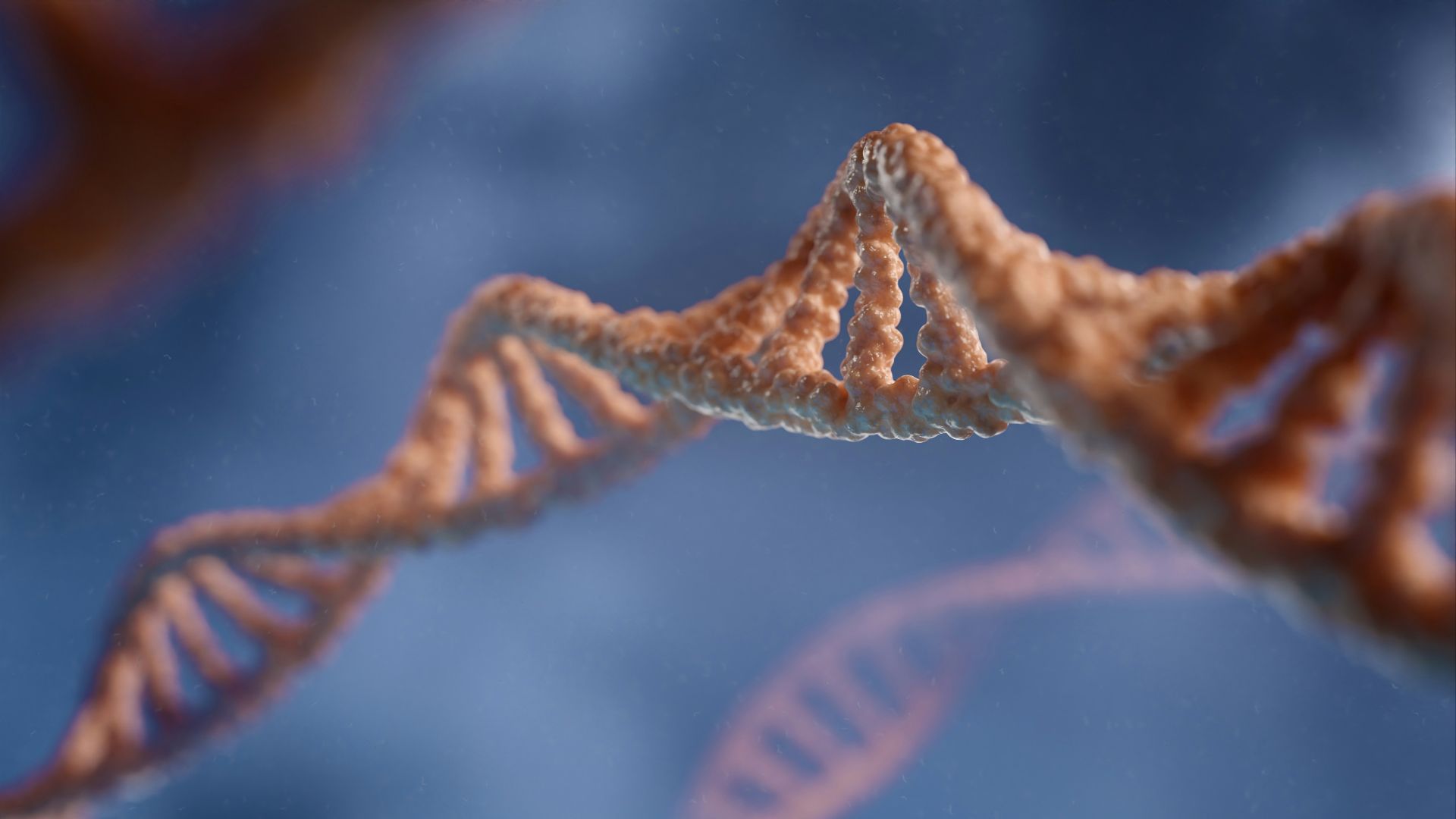 a close up of a structure with a blue background