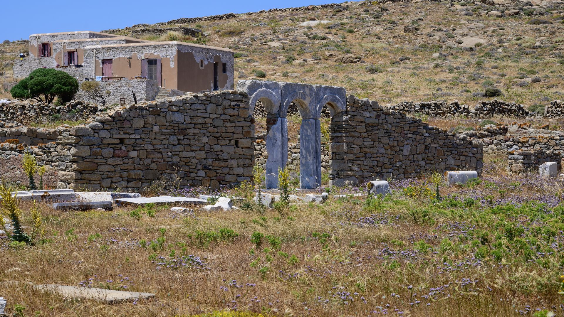 File:Gymnasion of Delos, 224570.jpg