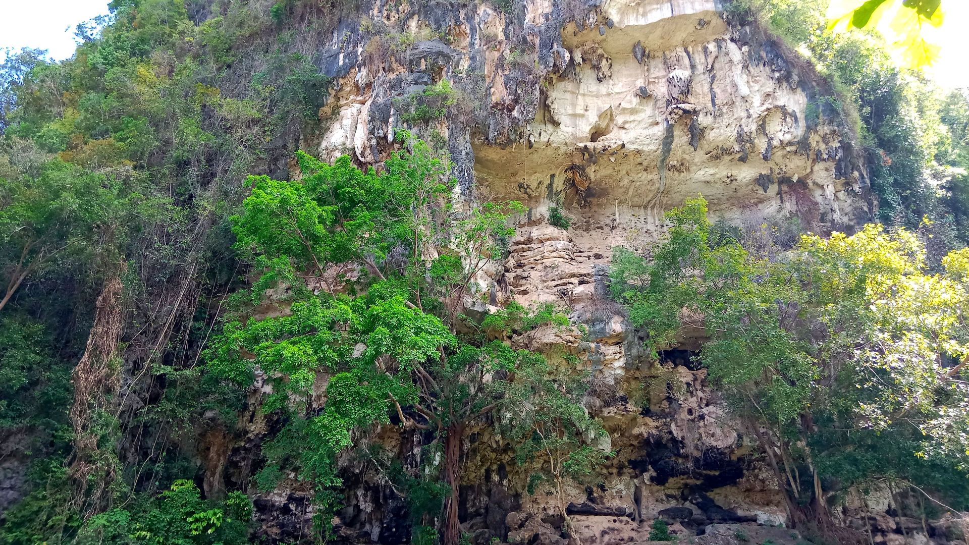 File:Karampuang, a cave which has world's oldest cave painting.jpg