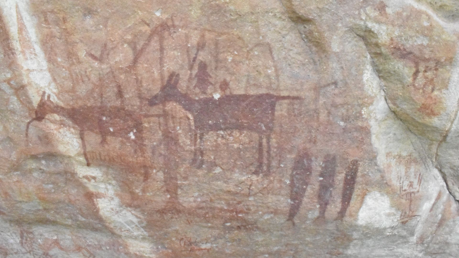 File:Cave paintings in Pandavula Guhalu, Telangana 24.jpg