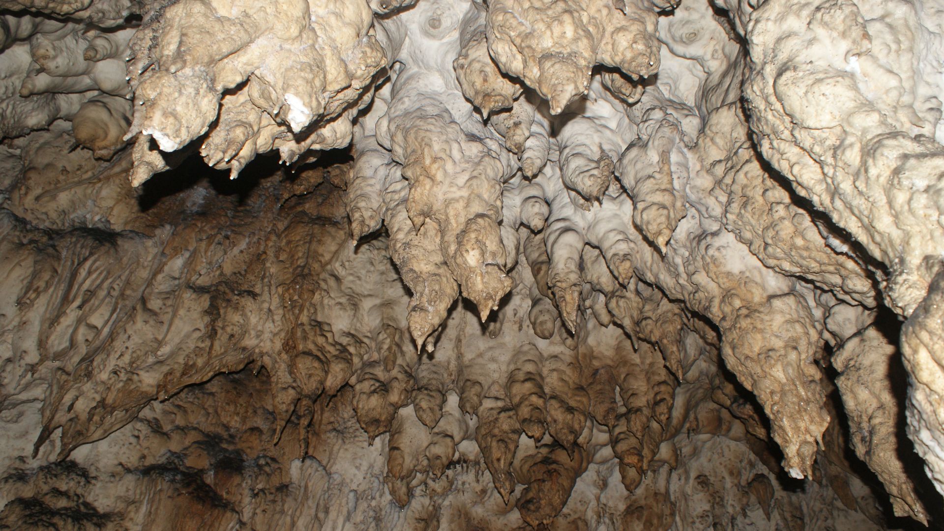 File:Cave inside Bantimurung National Park.JPG