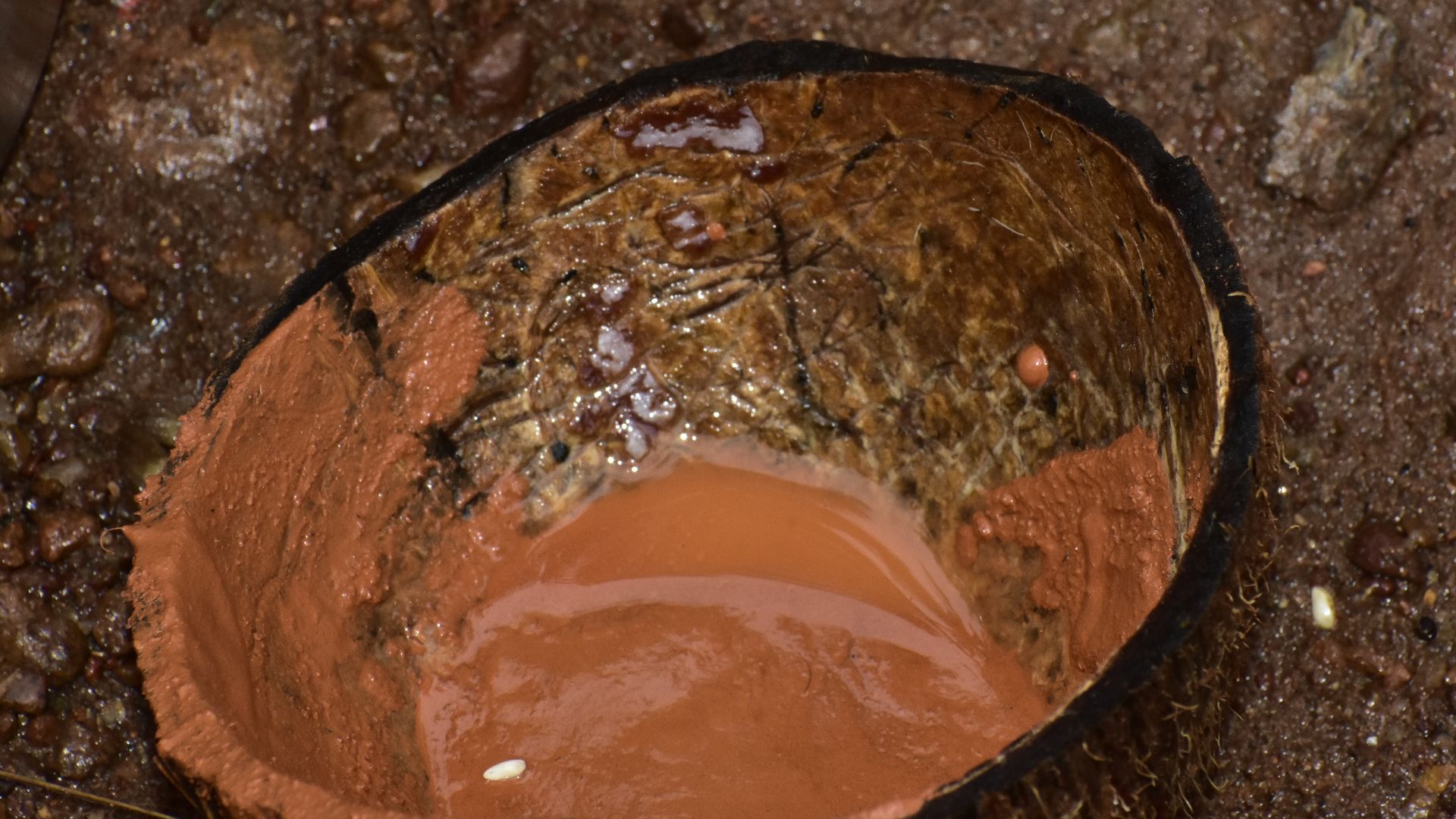 File:Ardala mannu - Red ochre.jpg