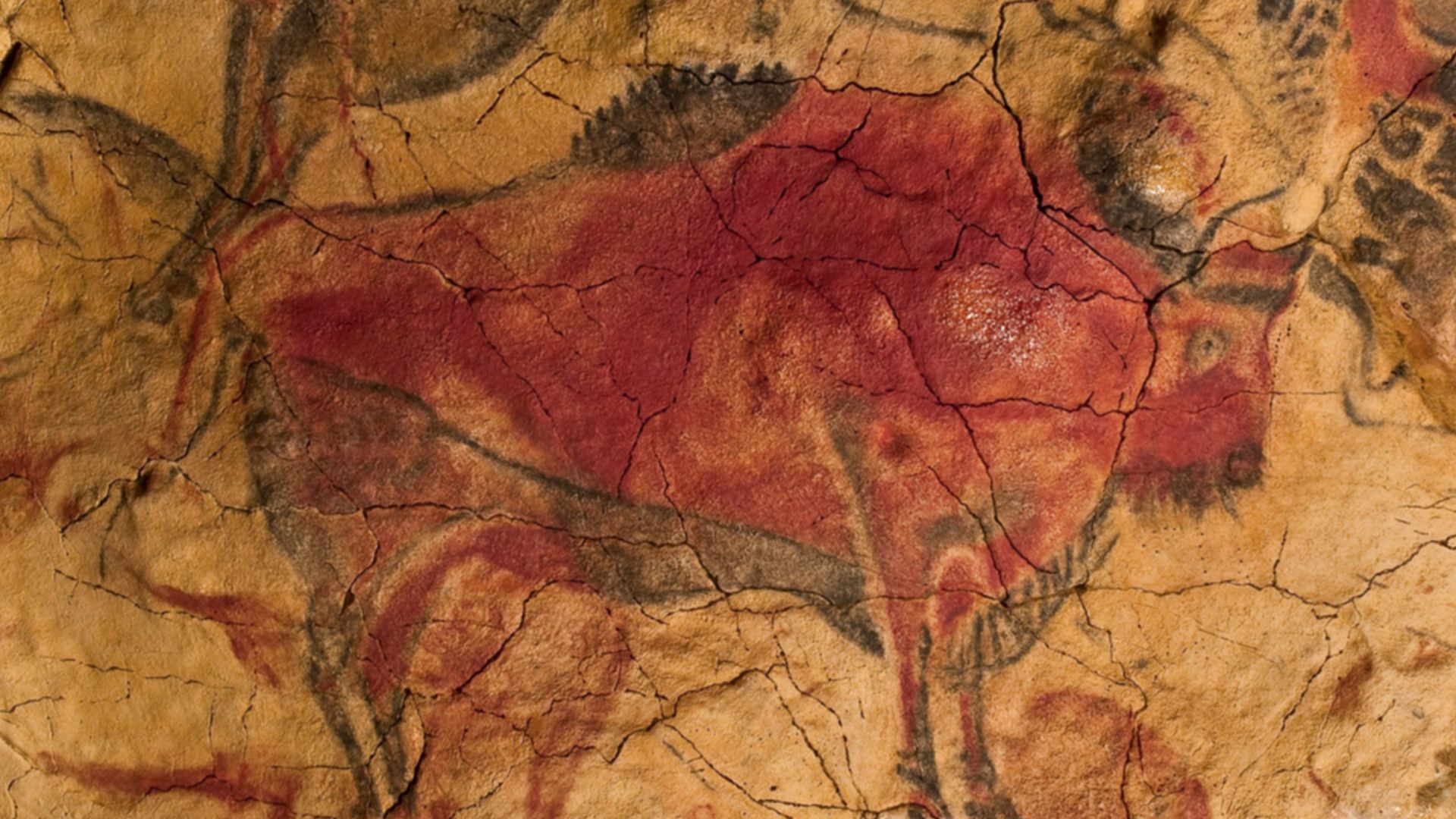 Man in Sulawesi cave