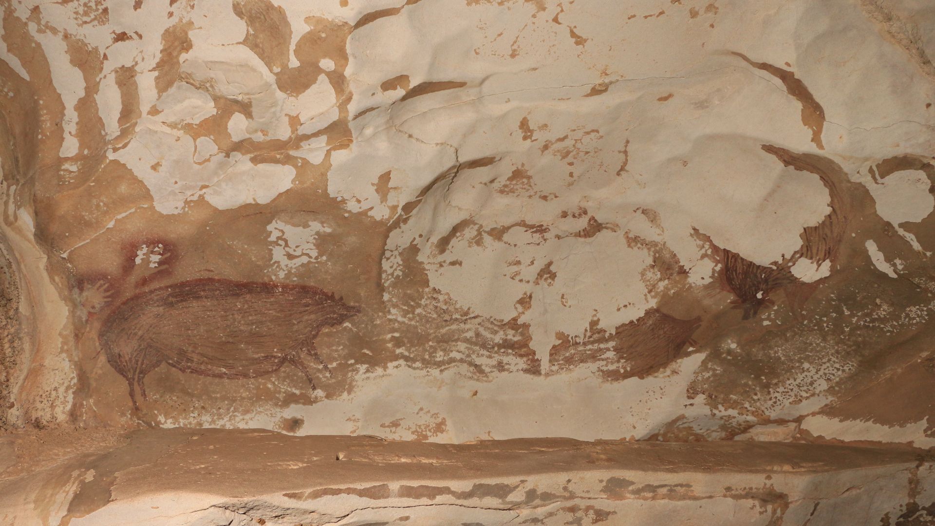 File:Leang Tedongnge rock art panel credit Basran Burhan.jpg