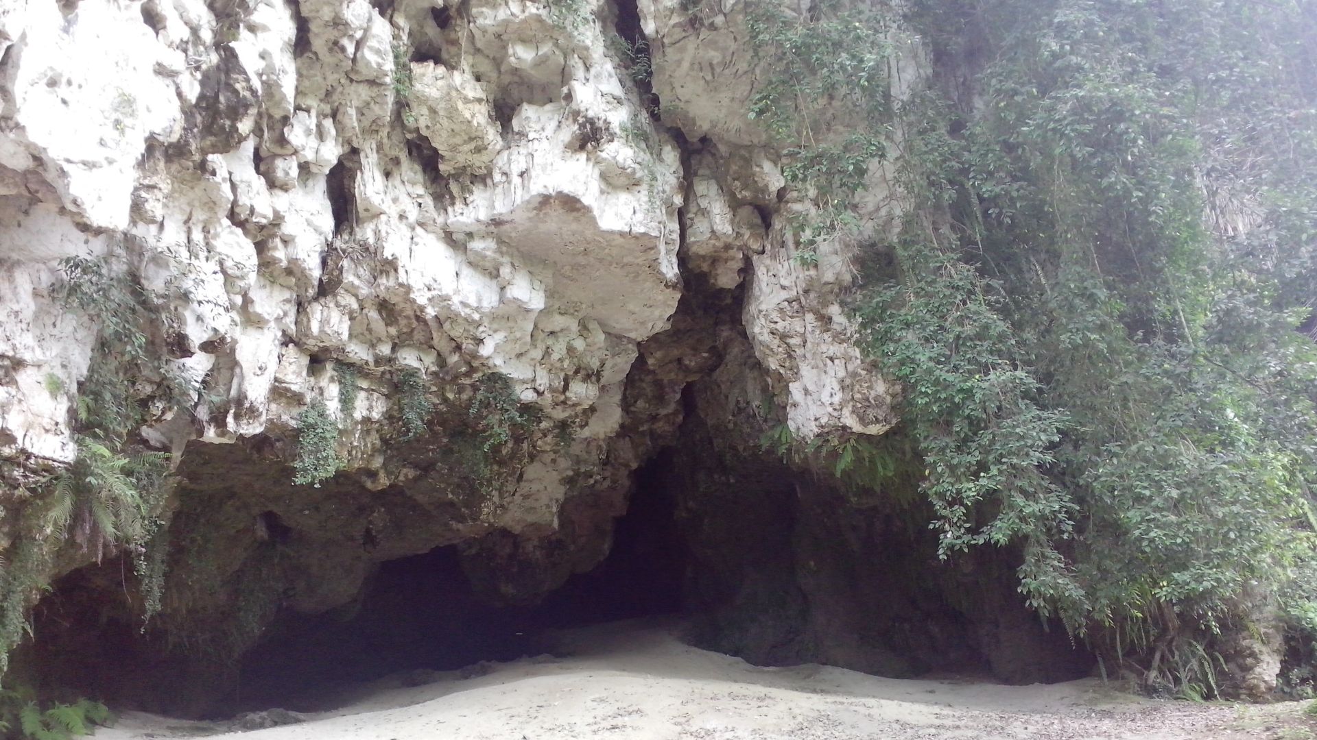 File:Bird Cave in Maros.jpg