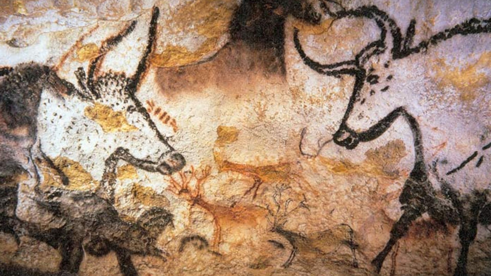 File:Lascaux painting.jpg