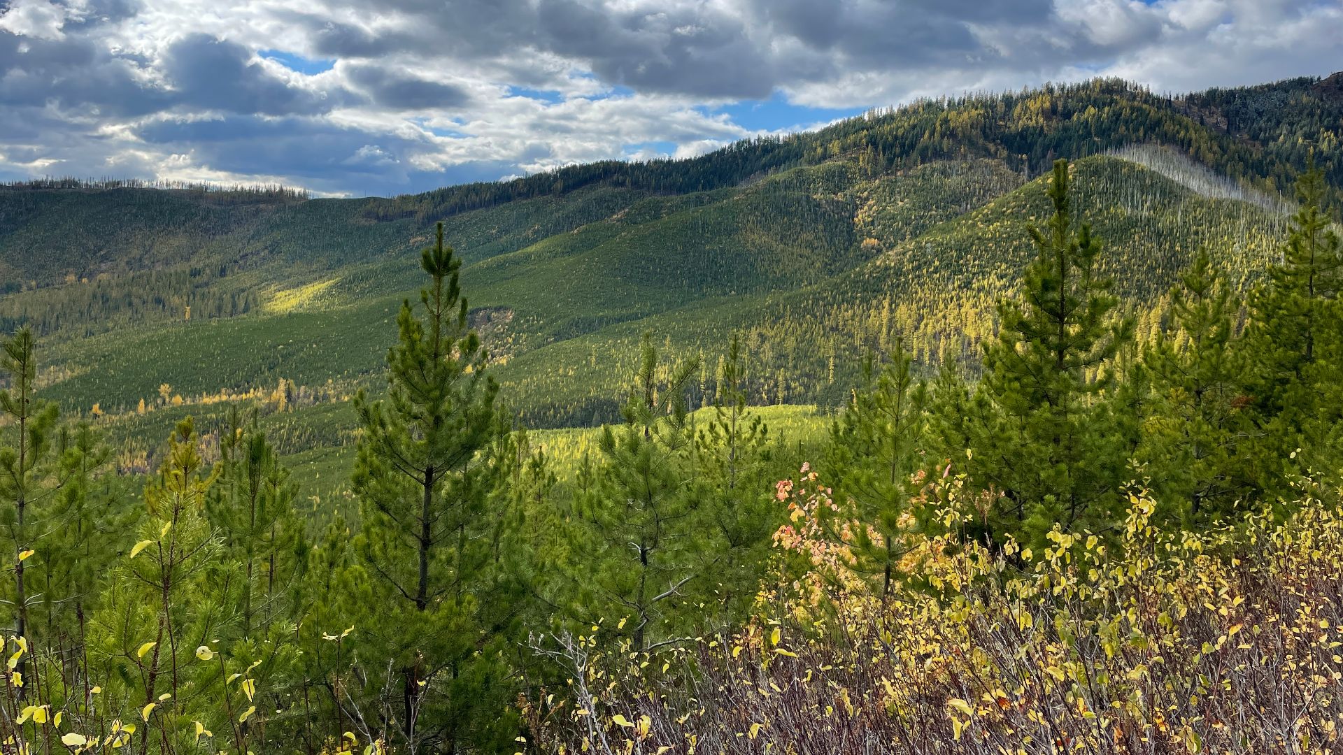 File:Glacier National Park - HCP - October 23, 2022 - 017 - Apgar Lookout Trail.jpg