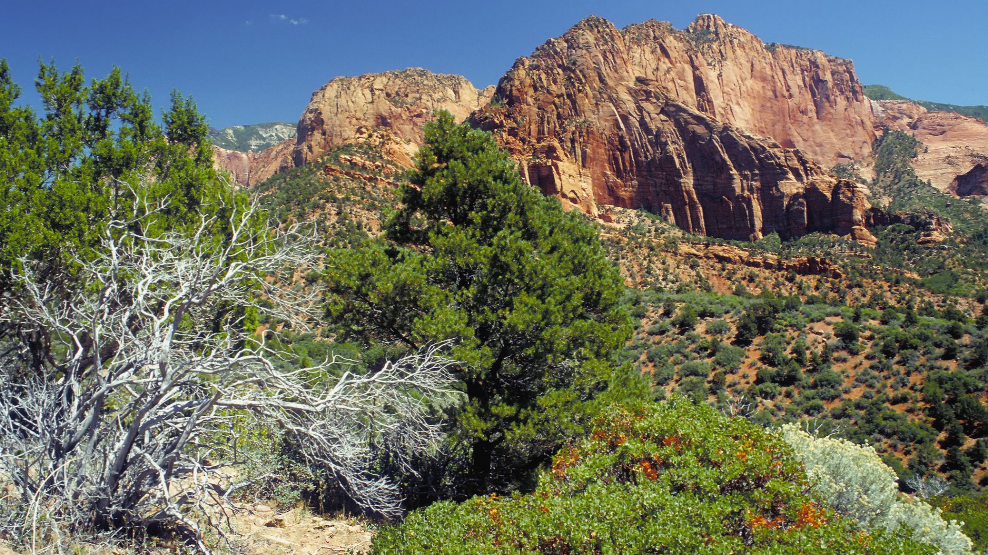 File:Kolob Canyons part of Zion National Park.JPG