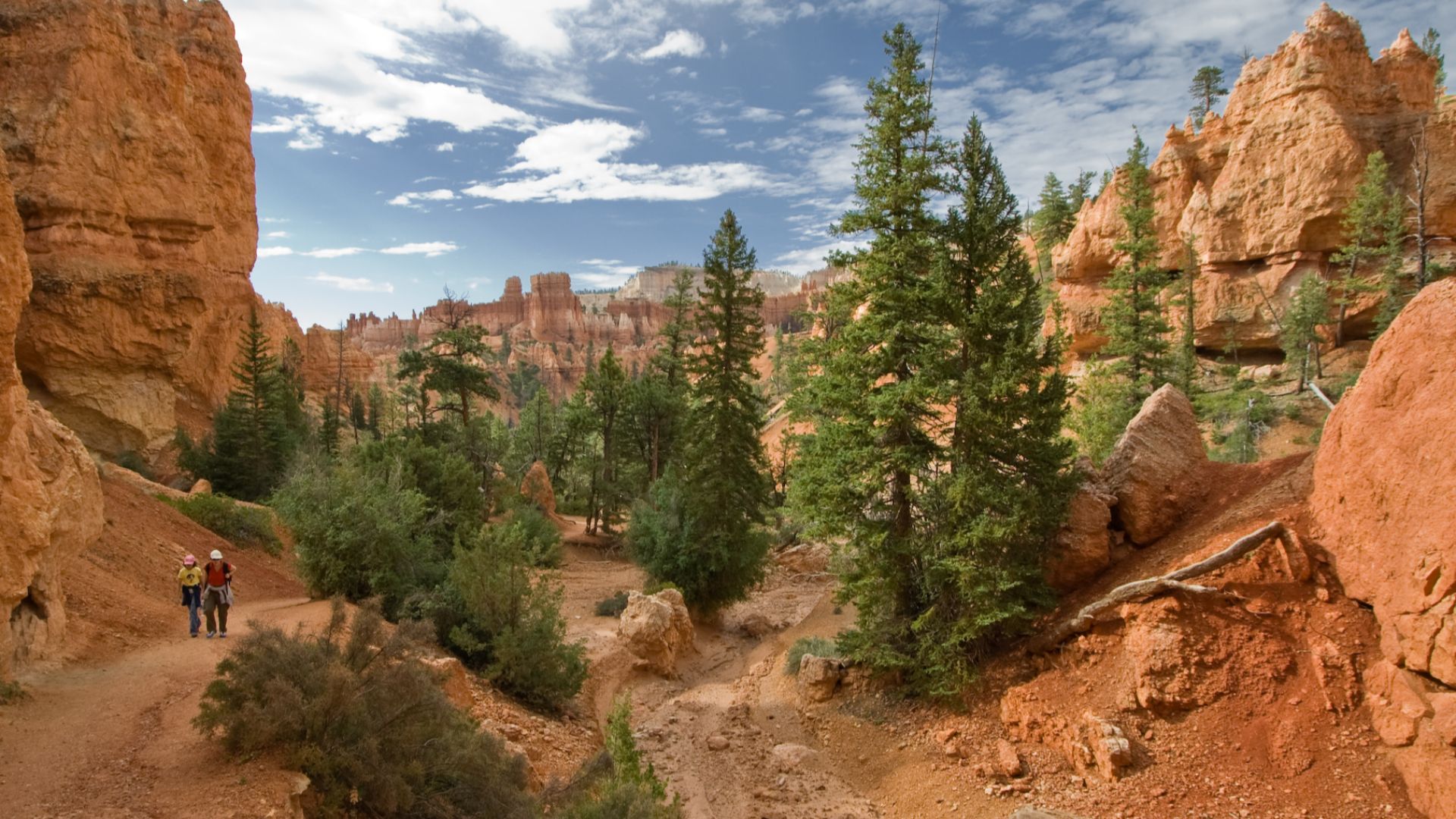 File:USA 10638 Bryce Canyon Luca Galuzzi 2007.jpg