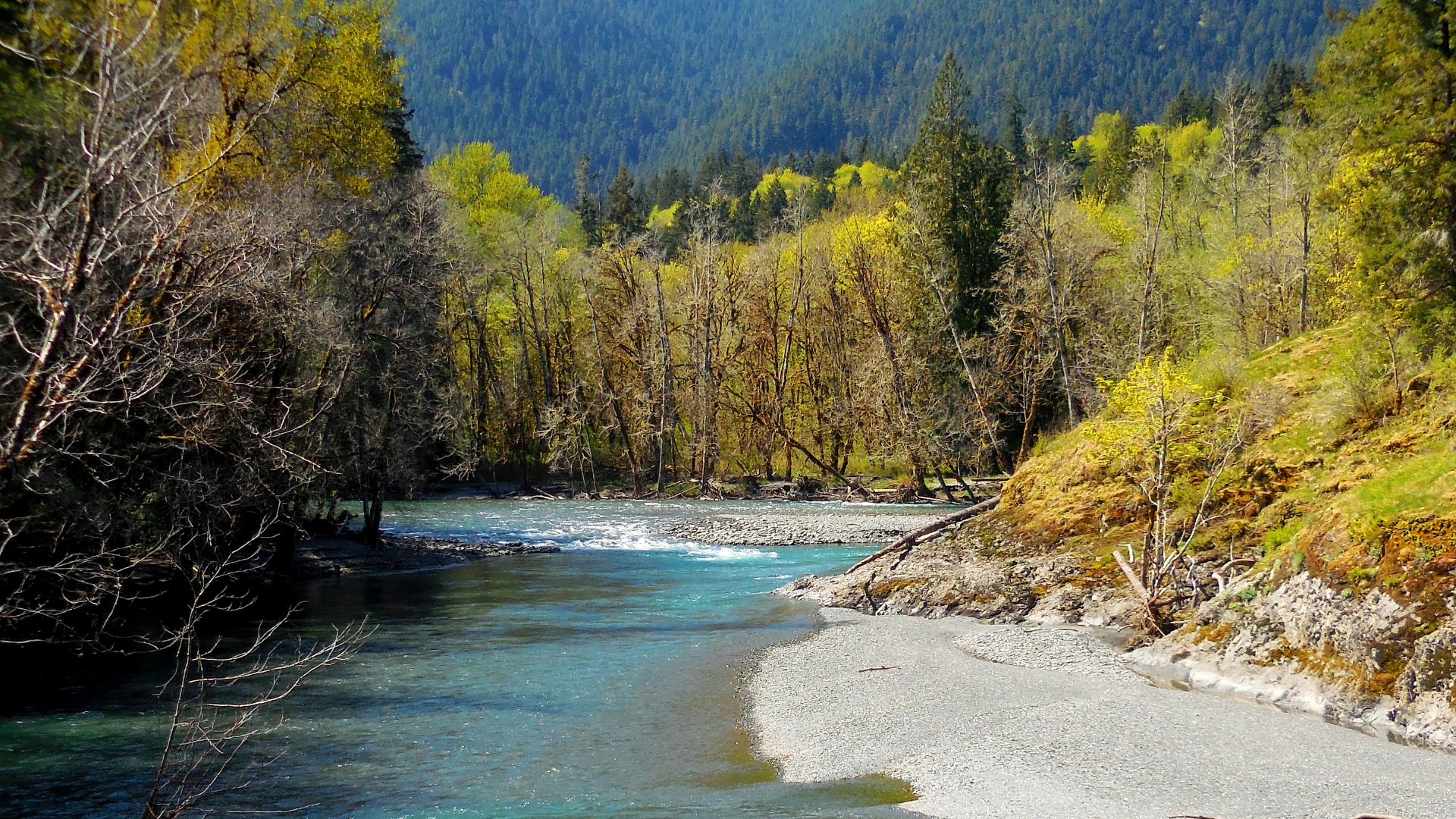 File:Olympic National Park (23130534325).jpg