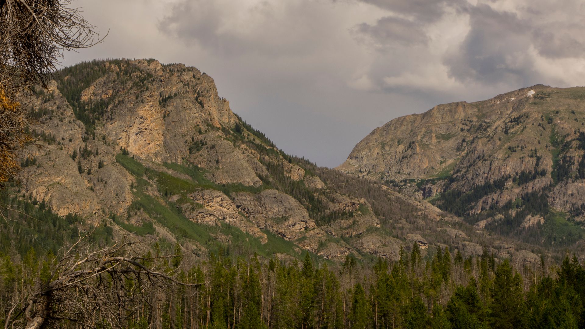 File:View of Mount Craig in southwest Rocky Mountain National Park, Colorado.jpg