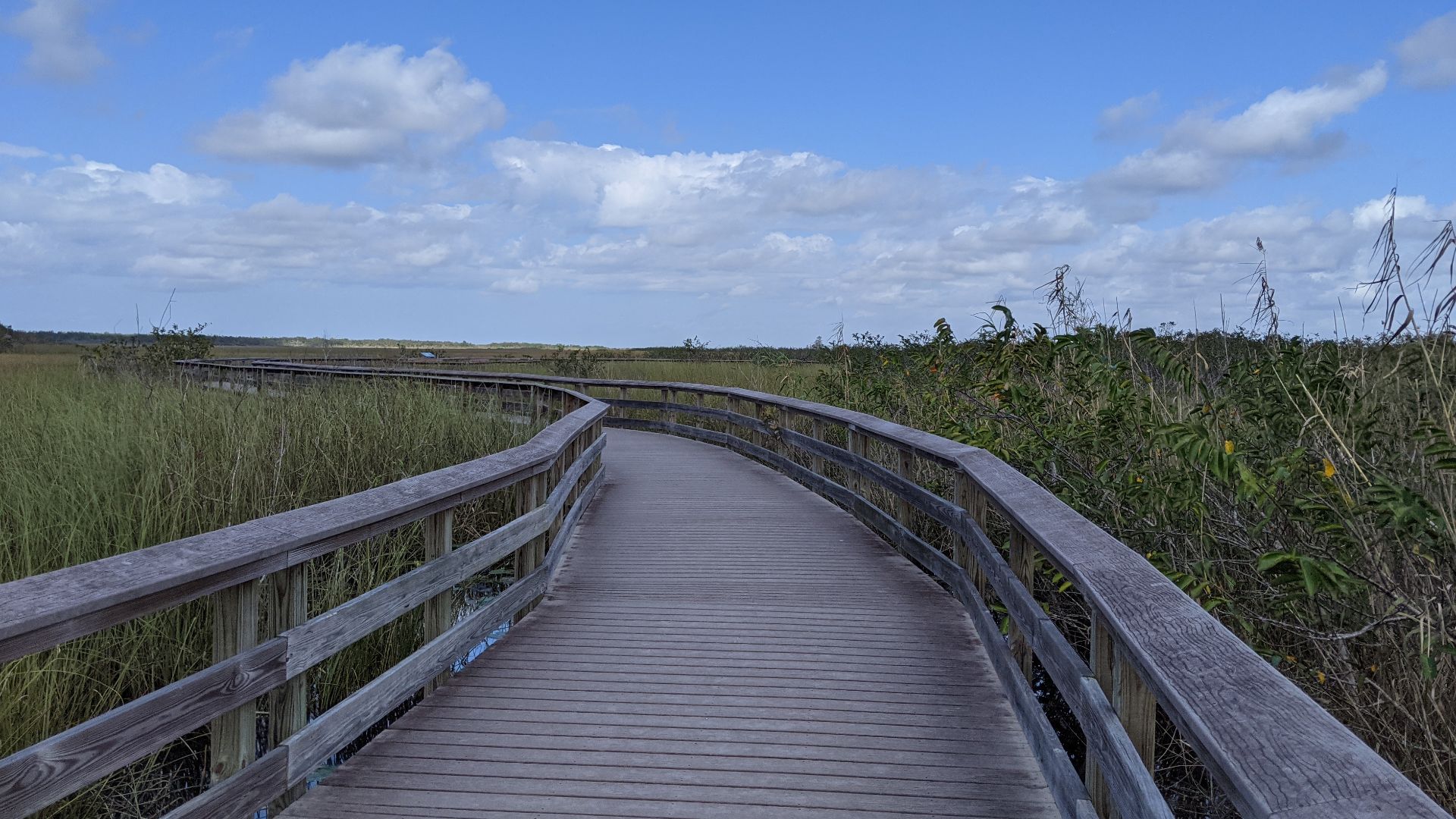 File:Pathway at the Everglades National Park.jpg
