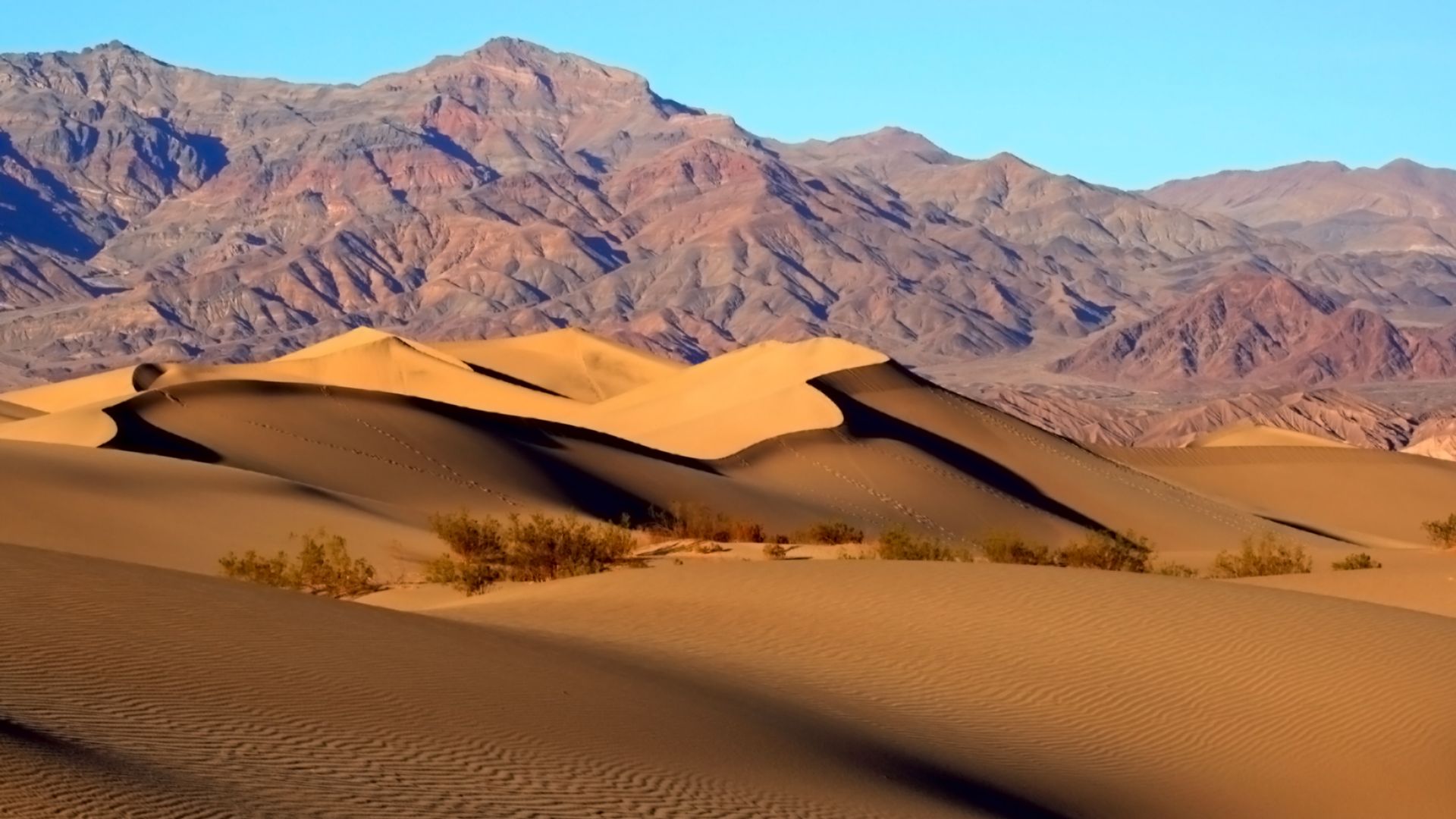 File:Mesquite Sand Dunes in Death Valley.jpg