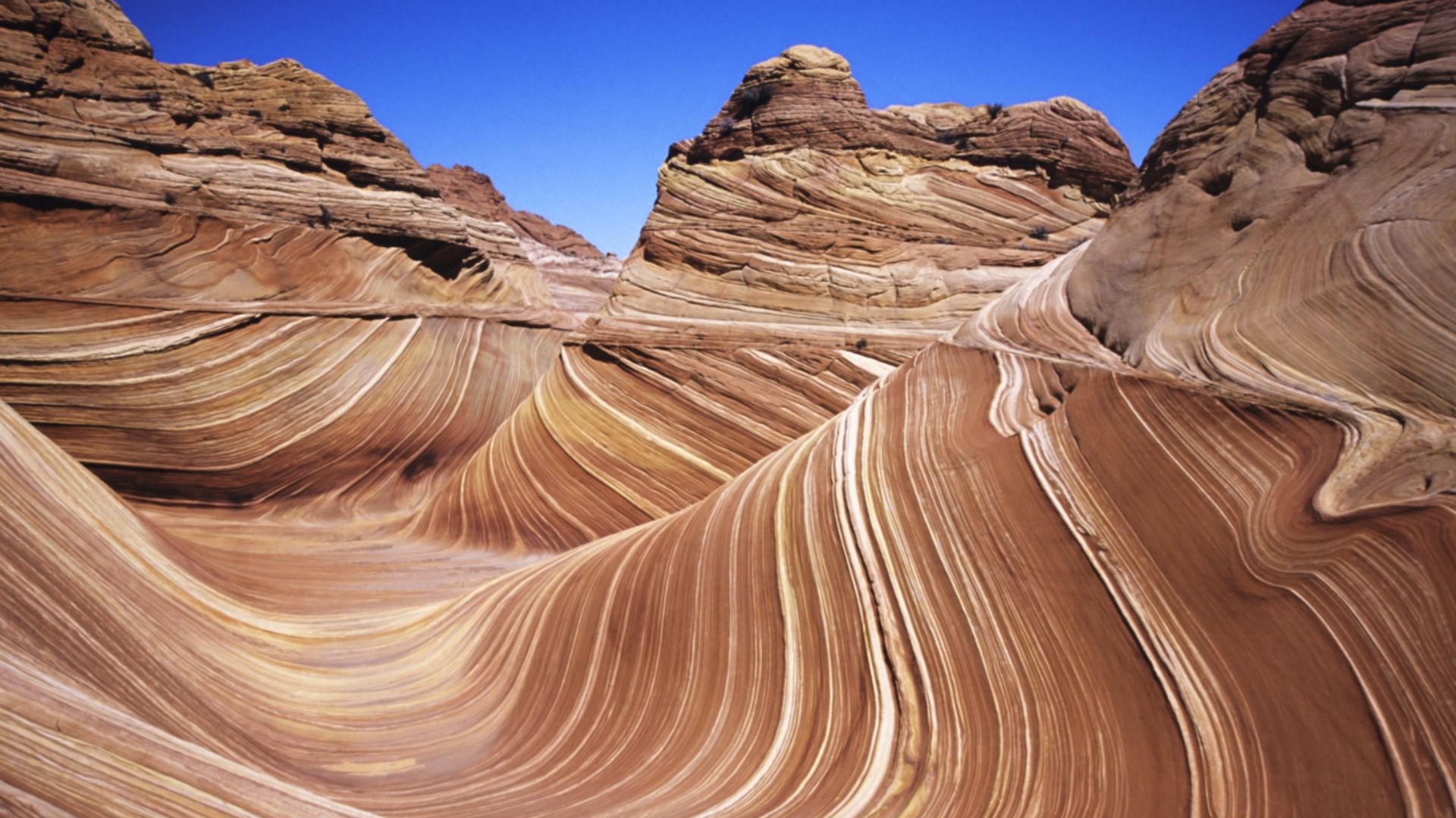 File:TheWave 1600pixels.jpg