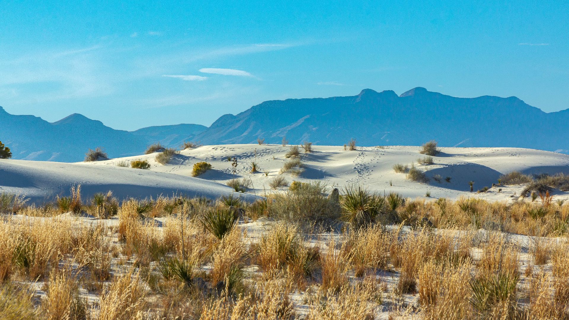File:White Sands National Park - 51875868804.jpg
