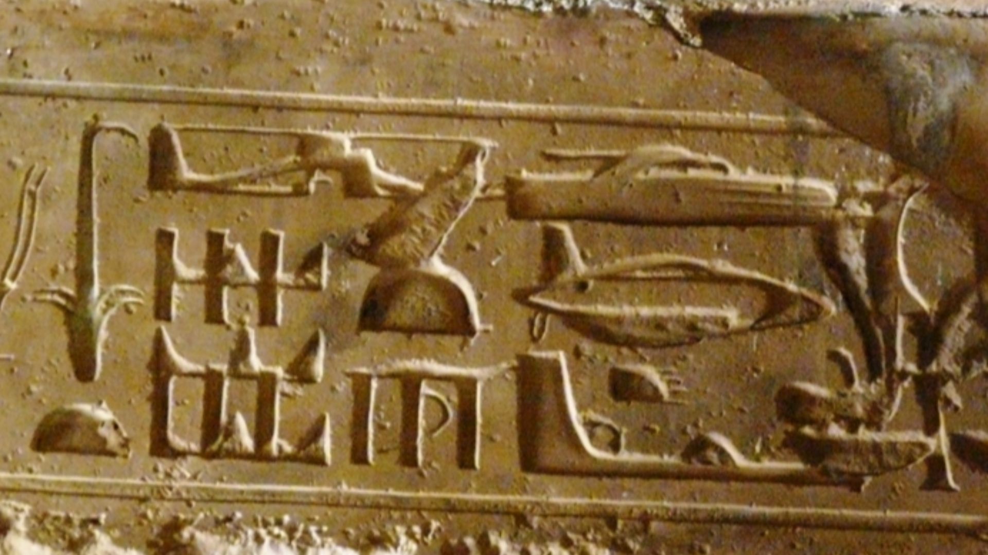 File:Hieroglif z Abydos.jpg