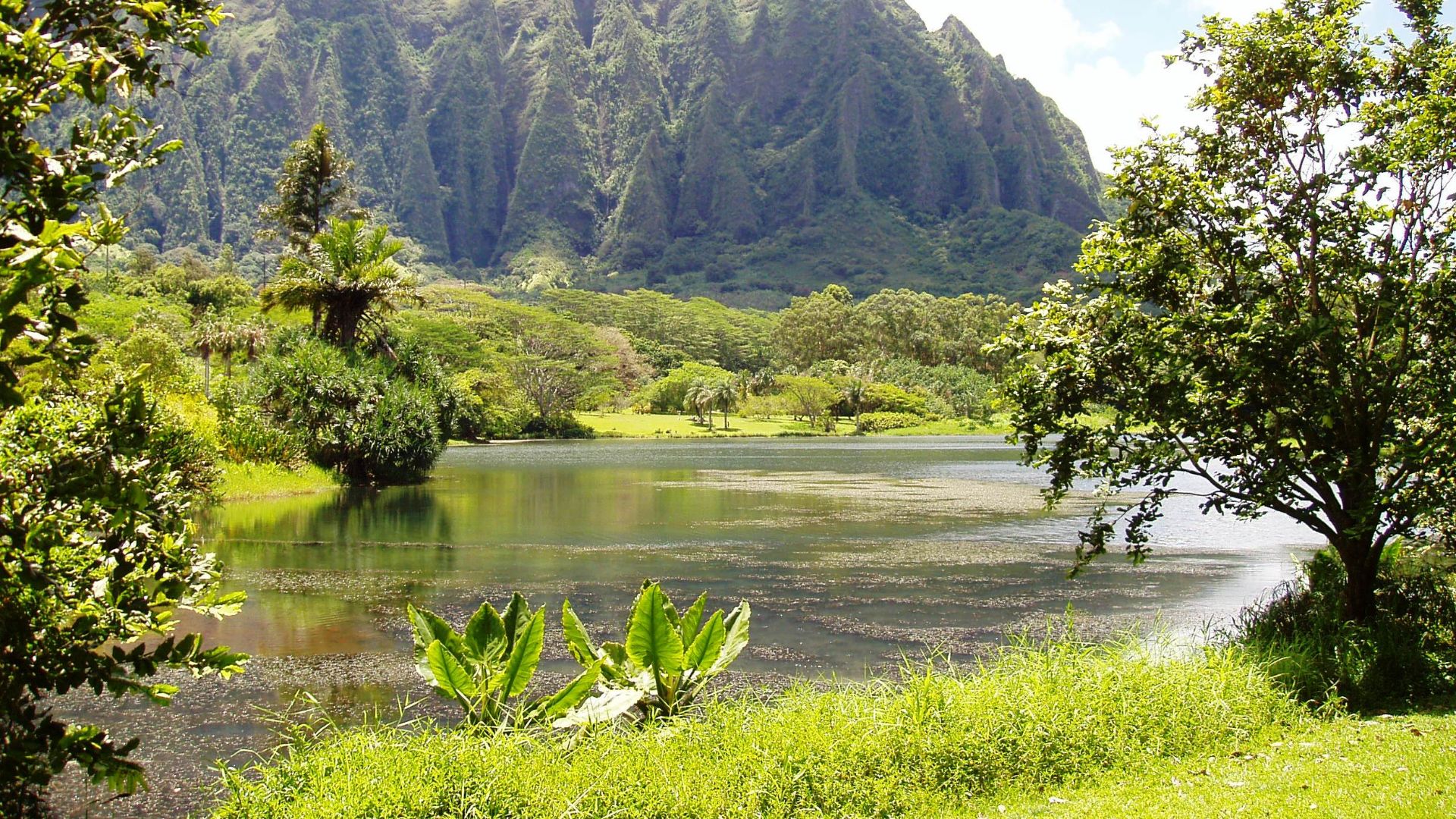 File:Ho'omaluhia Botanical Garden - lake view.JPG