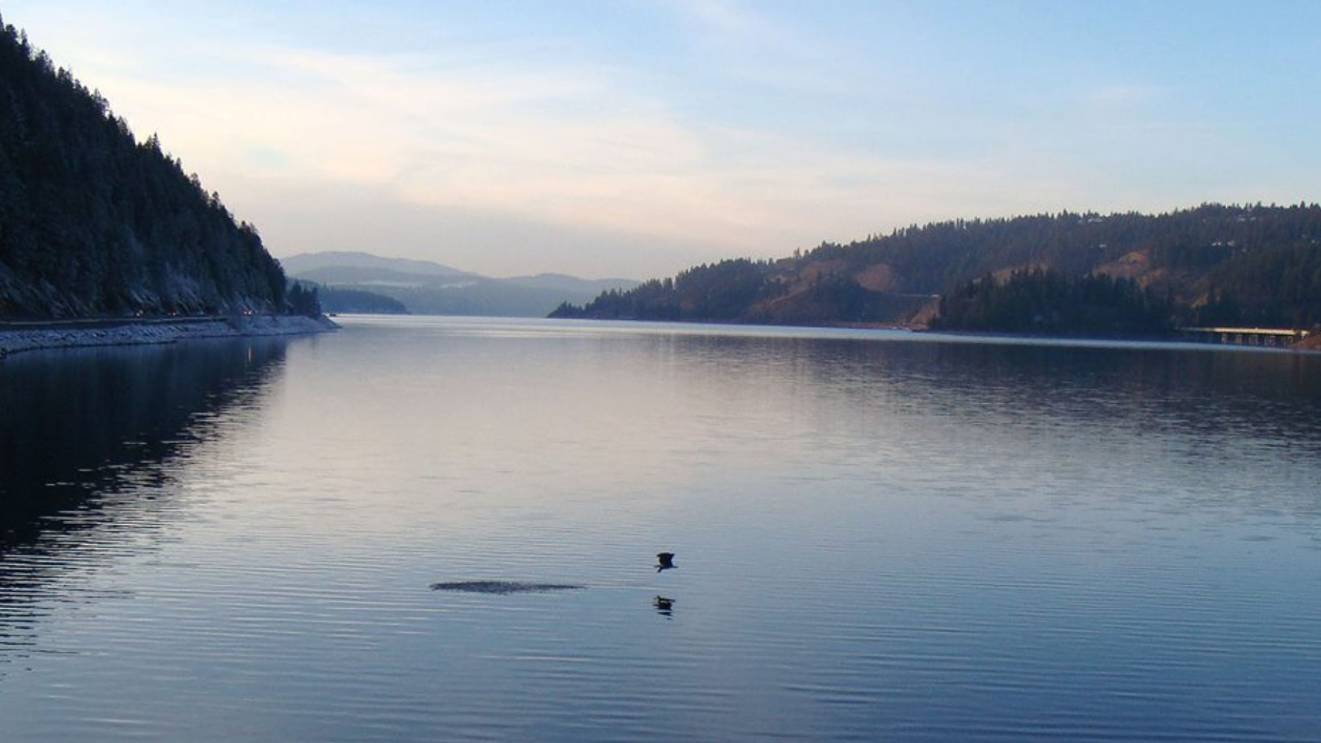 File:BLM Winter Bucket List -6- Lake Coeur d’Alene, Idaho, for the Annual Eagle Count (15933242690).jpg