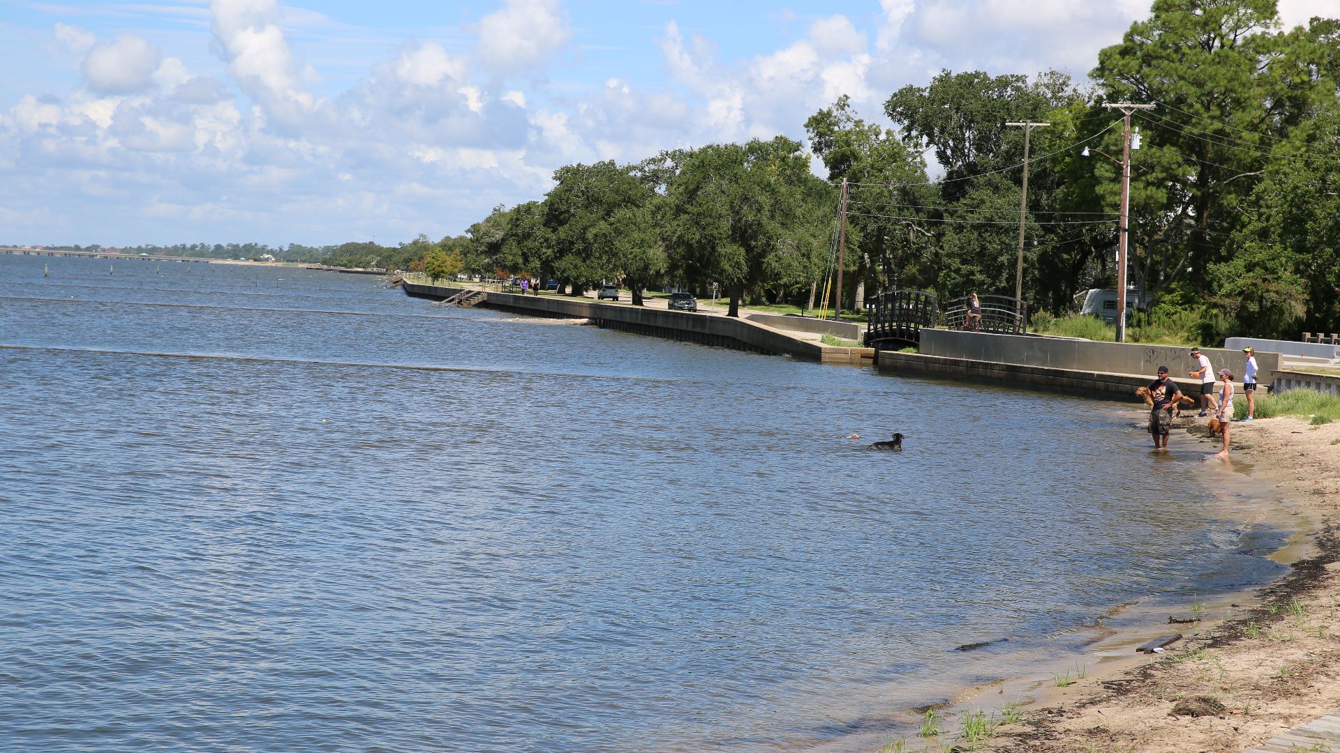 File:Lake Pontchartrain shore in Saint Tammany Parish Louisiana August 2013.jpg