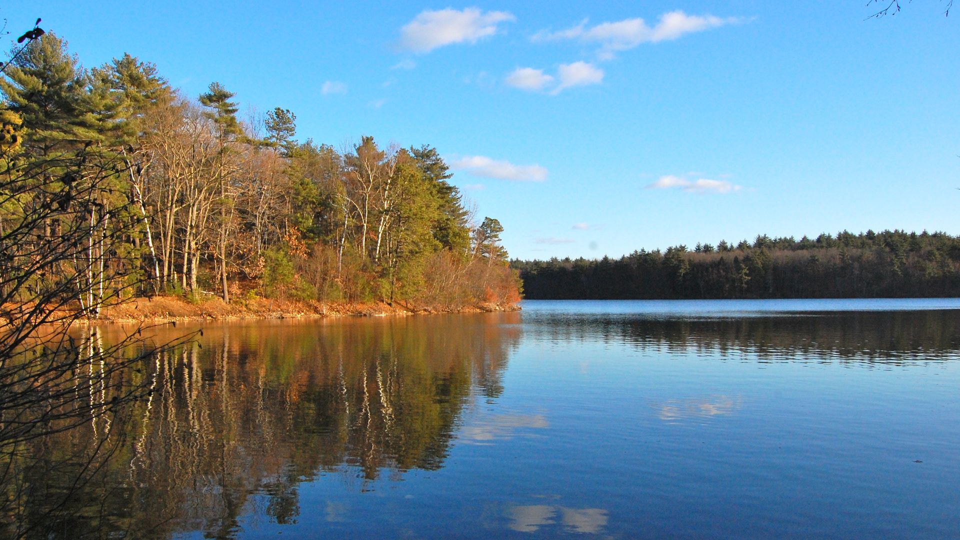 File:Walden Pond, 2010.jpg