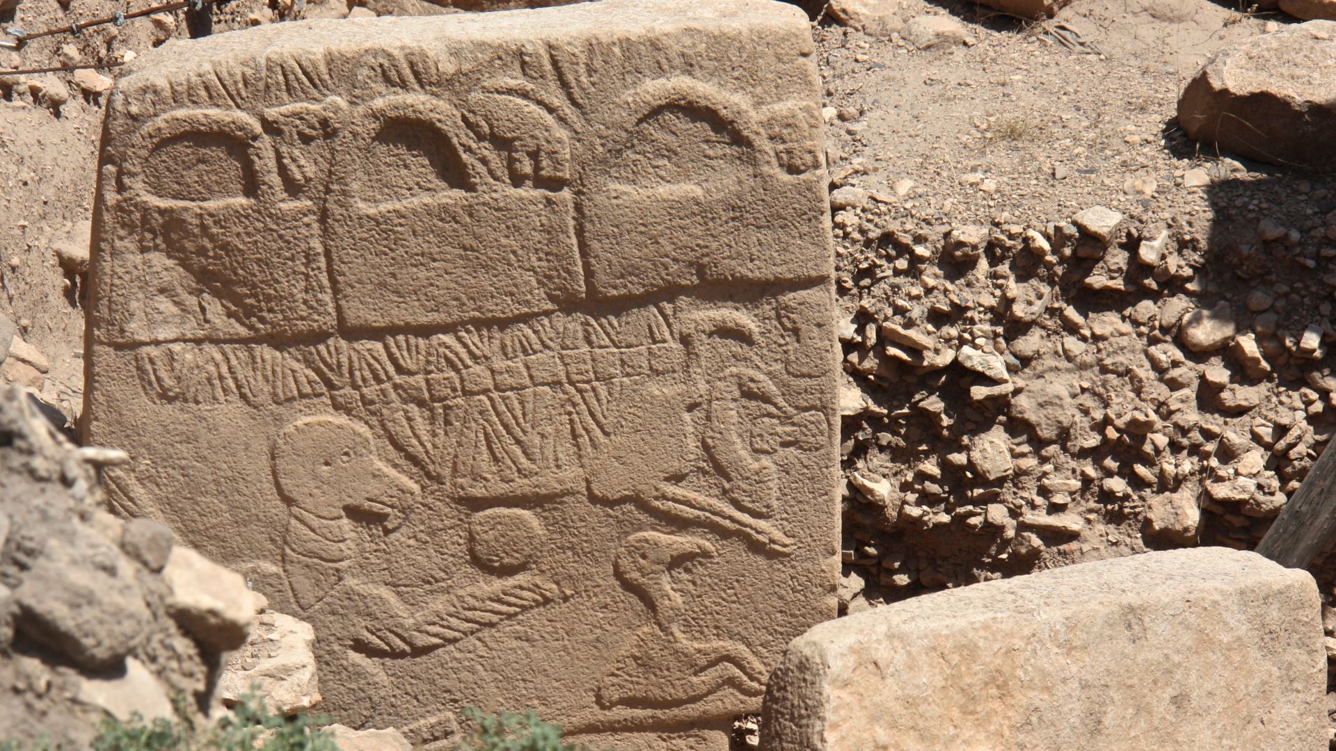 File:Vulture Stone, Gobekli Tepe, Sanliurfa, South-east Anatolia, Turkey.jpg