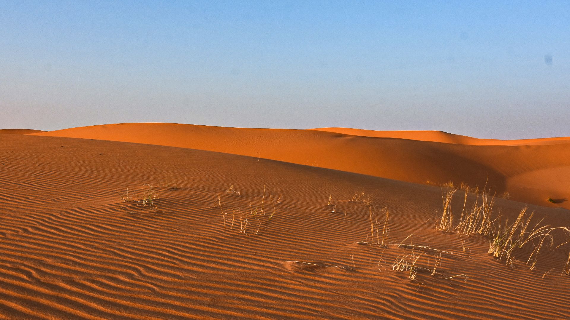 File:Sands of al-Dahna, eastern Saudi Arabia (4) (50620707316).jpg