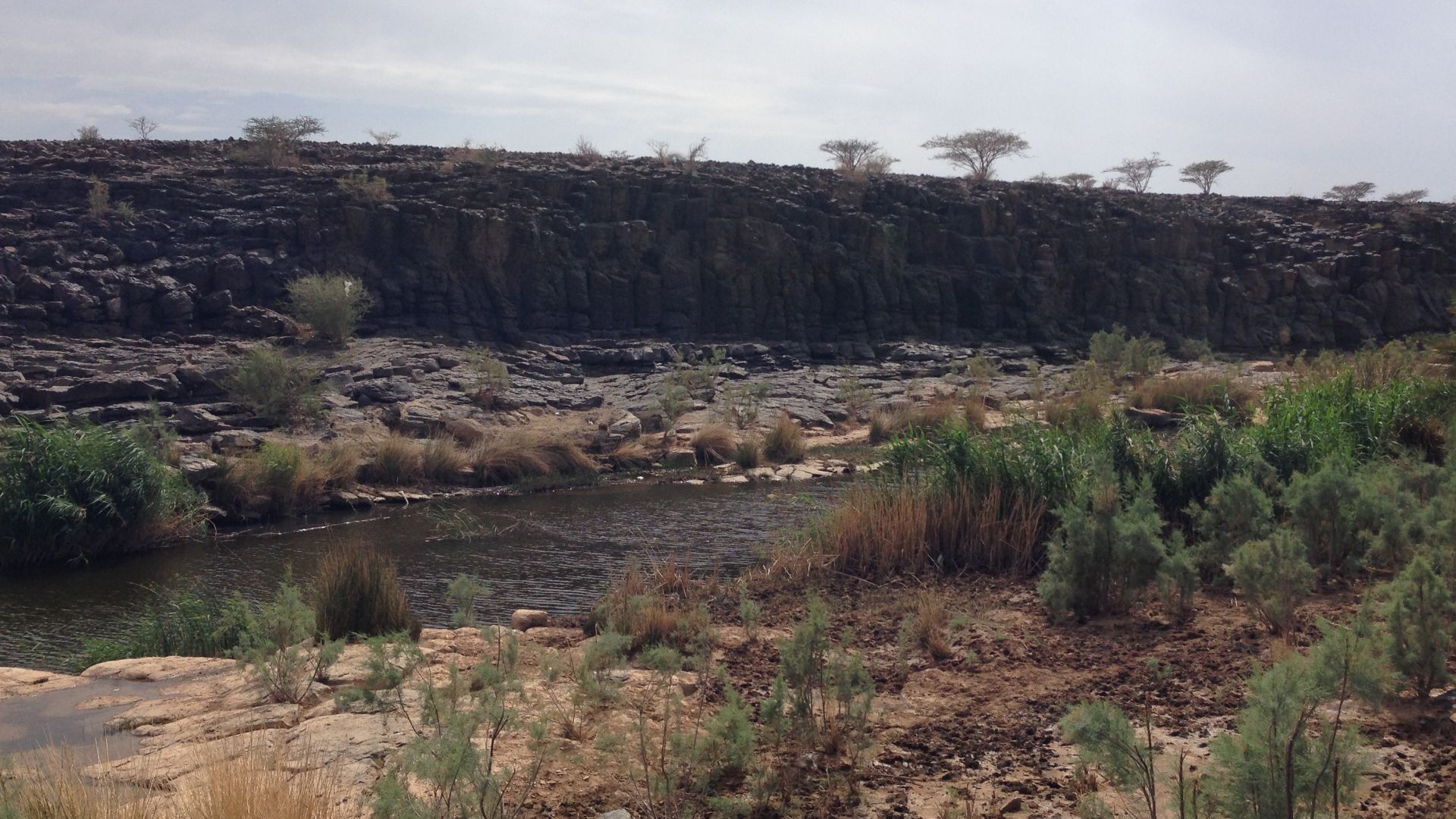 File:Oasis - panoramio (7).jpg