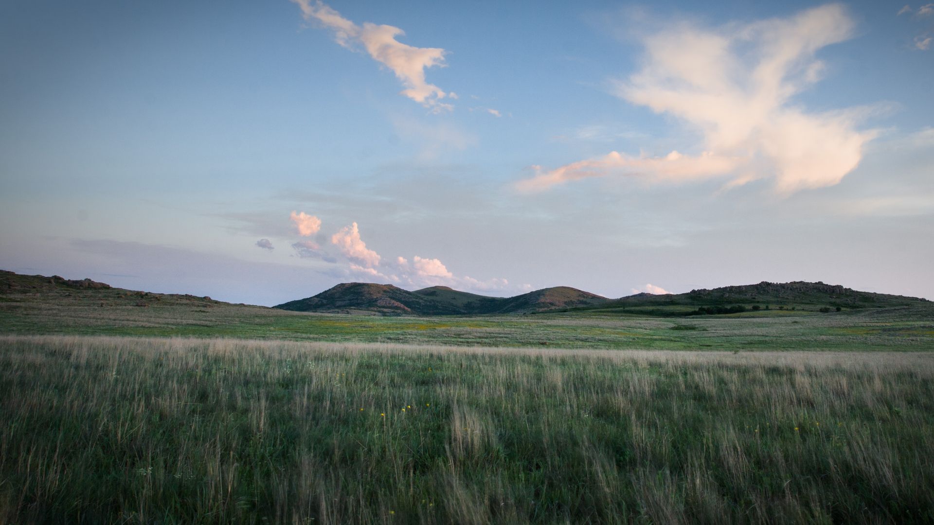File:Oklahoma Tallgrass Prairie.jpg