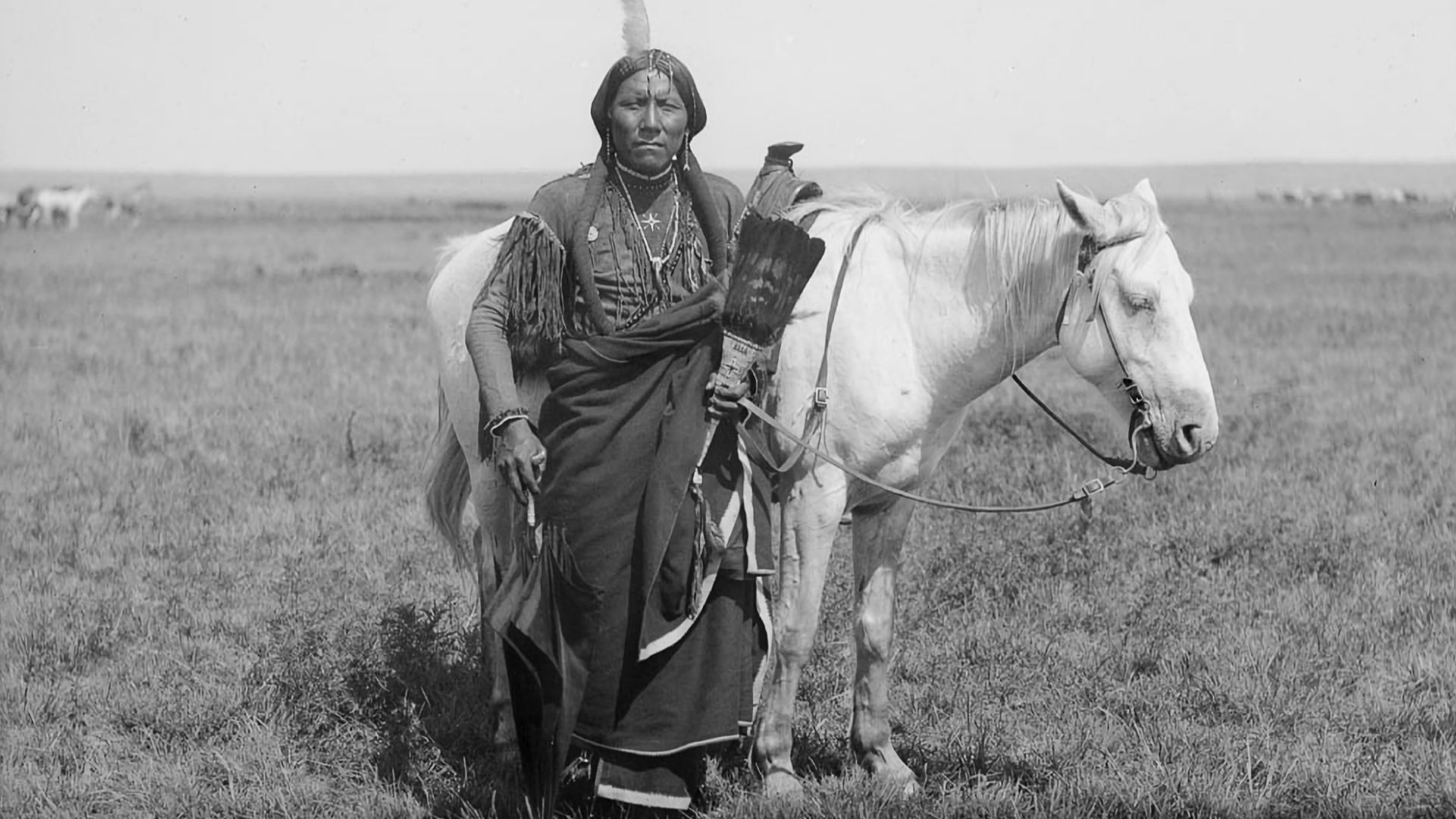 File:Ako, a Comanche warrior and horse -.jpg