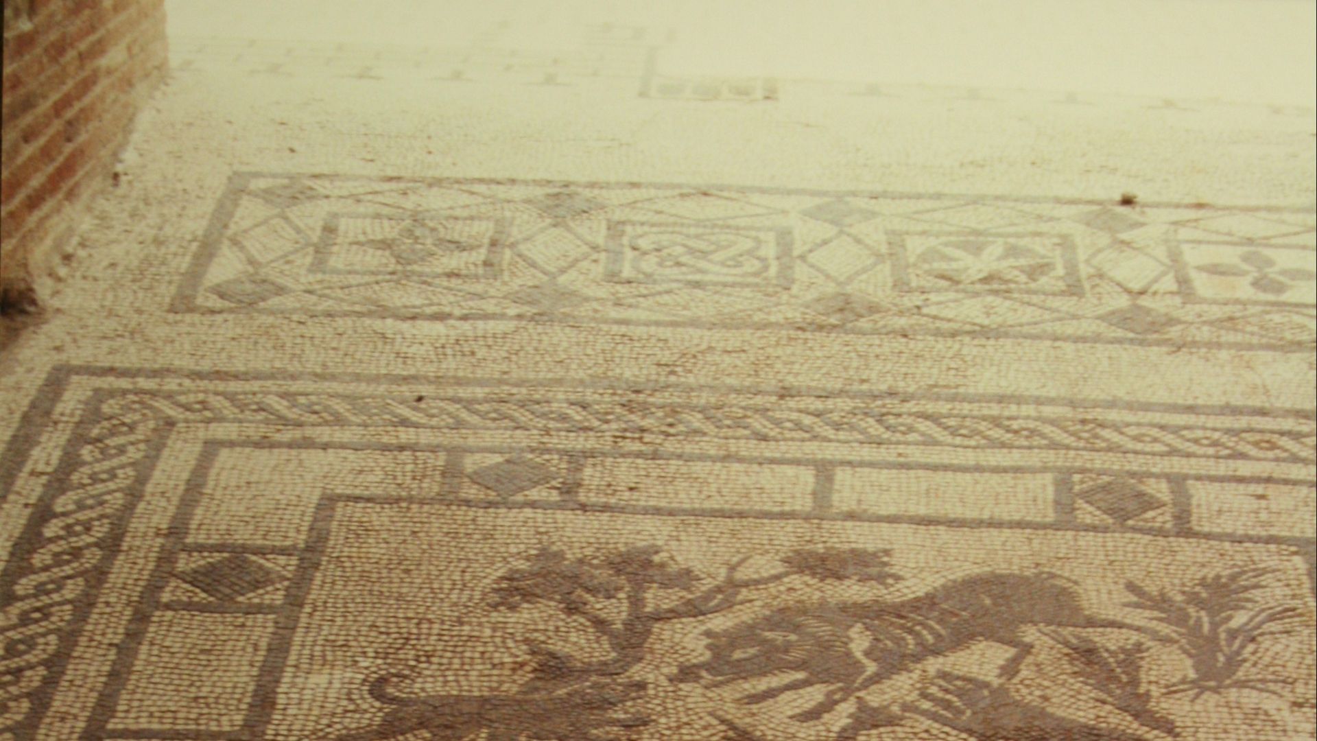 File:Pompeii Mosaic Floor Tile (9809435133).jpg