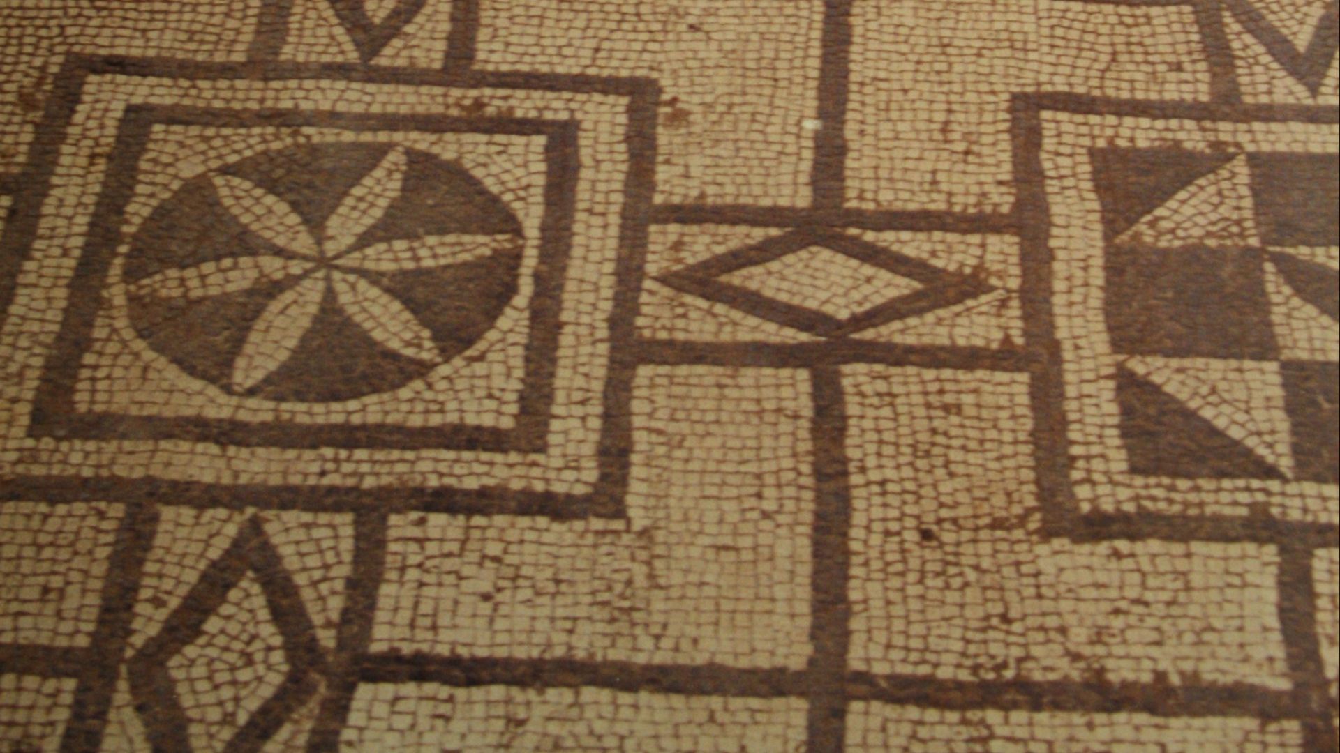 File:Pompeii Mosaic Floor Tile (9809435133).jpg