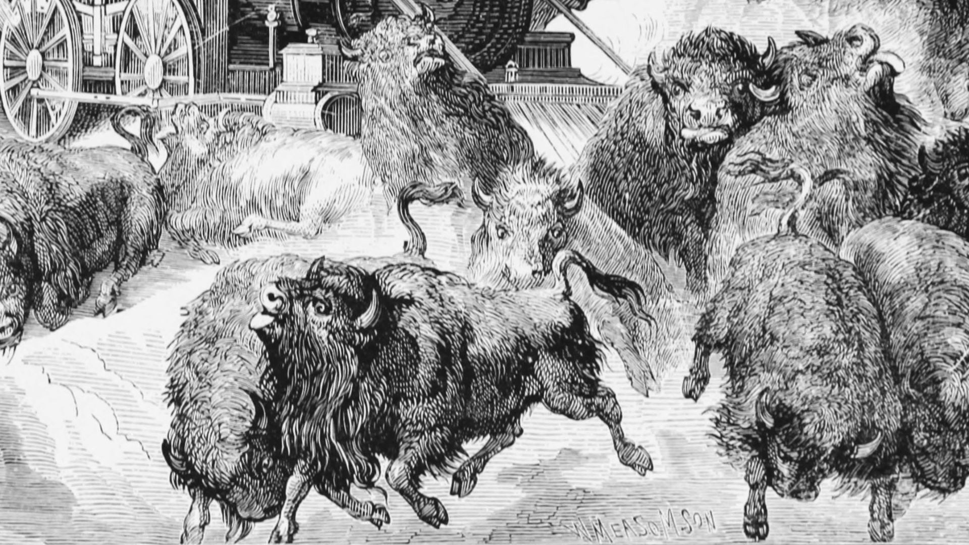 File:XBIS D037 Slaughter of Buffalo on the Kansas Pacific Railroad.png