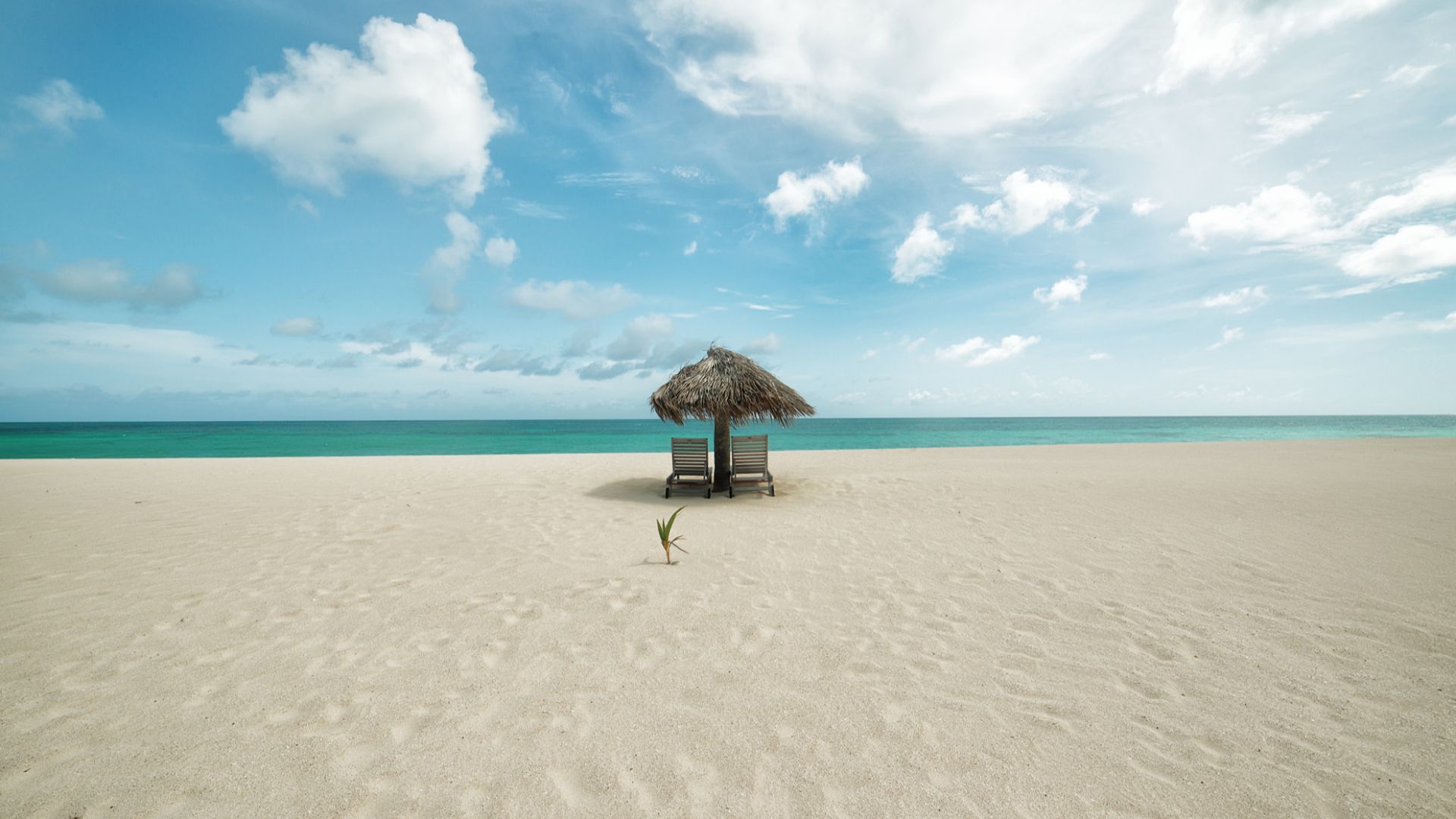 File:Antigua Barbuda (52845512).jpeg