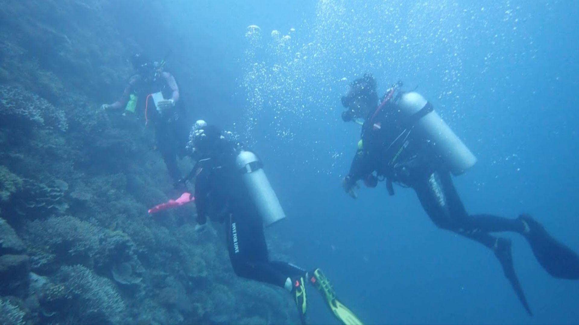 File:Divers in Bohol sea.jpg