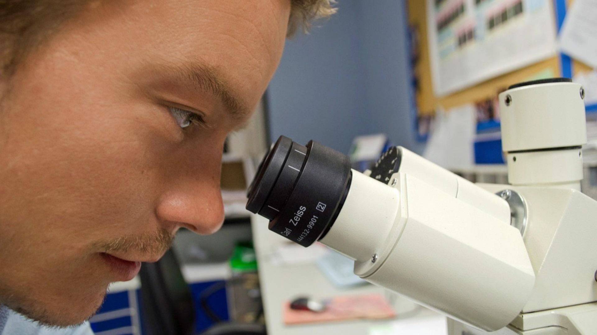 PublicDomainPictures