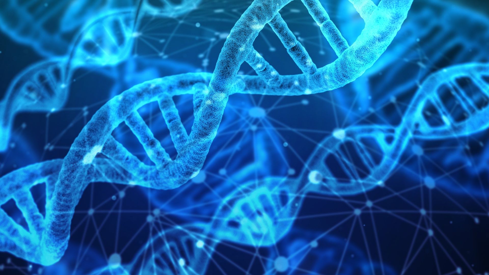 File:DNA strands.jpg