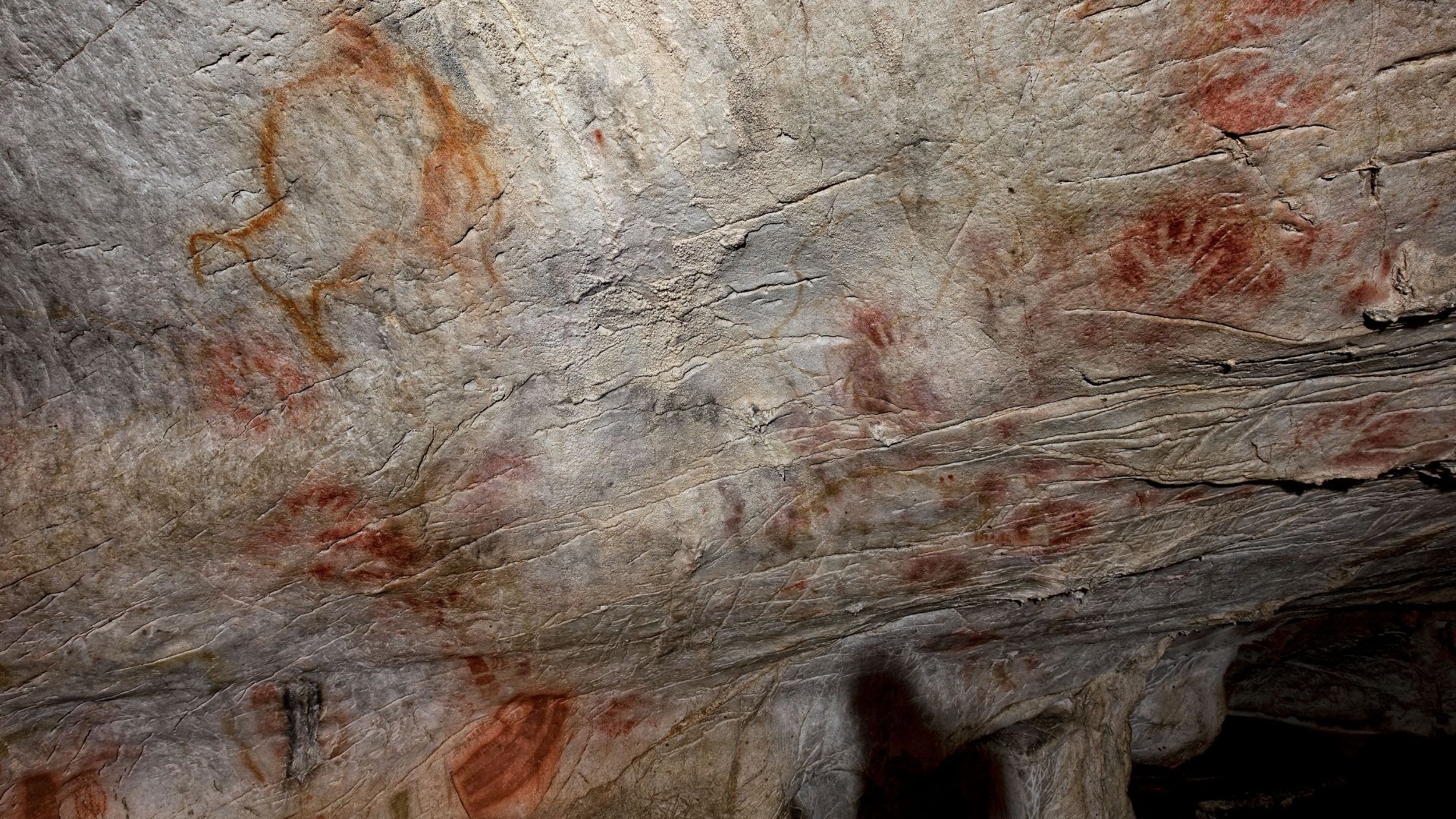 File:Panel de manos de la cueva del Castillo.jpg