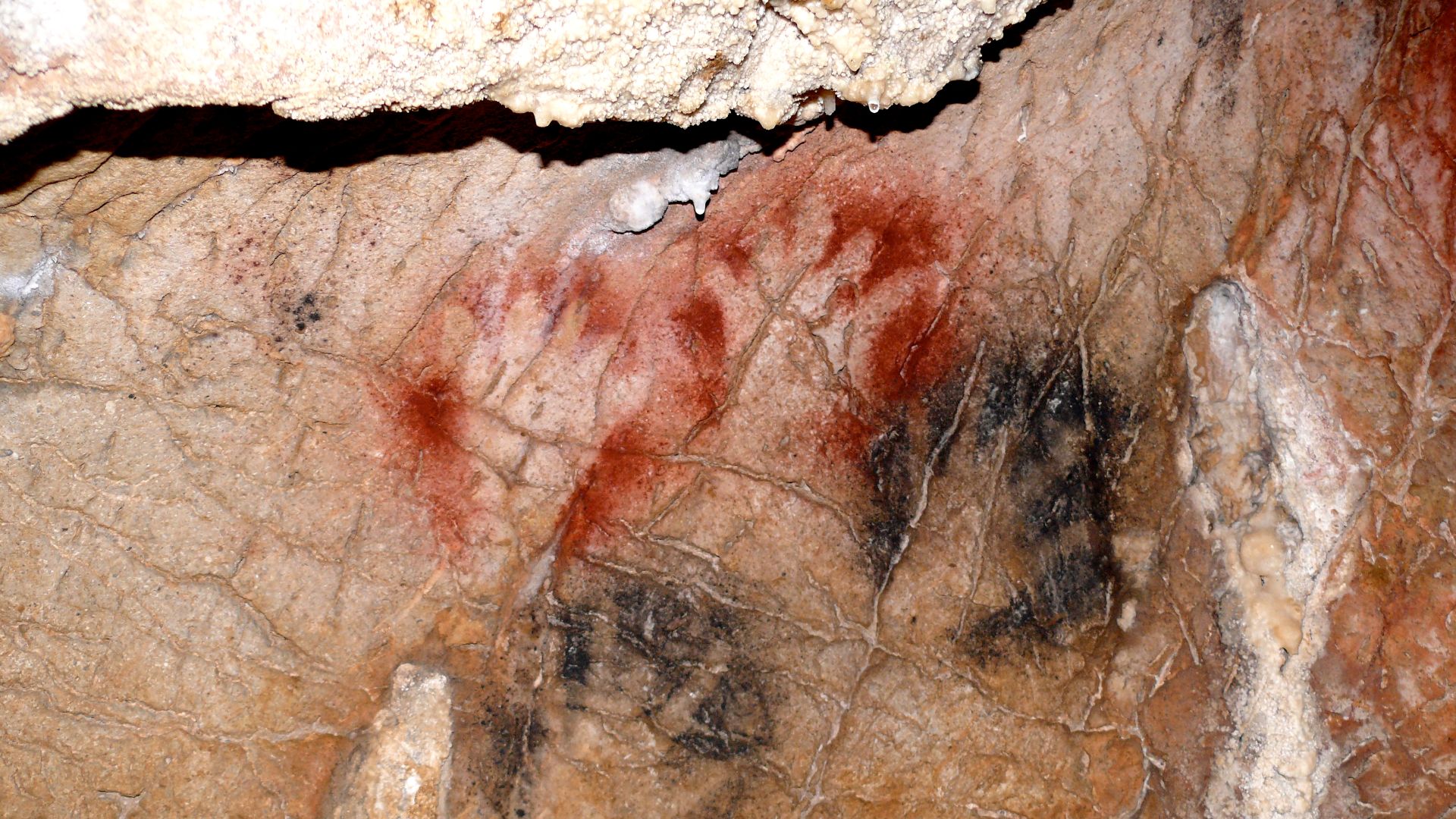 File:Gargas - Grande Paroi - Panneau 6- Mains noires et rouges doigts incomplets sauf pouce - YR.jpg