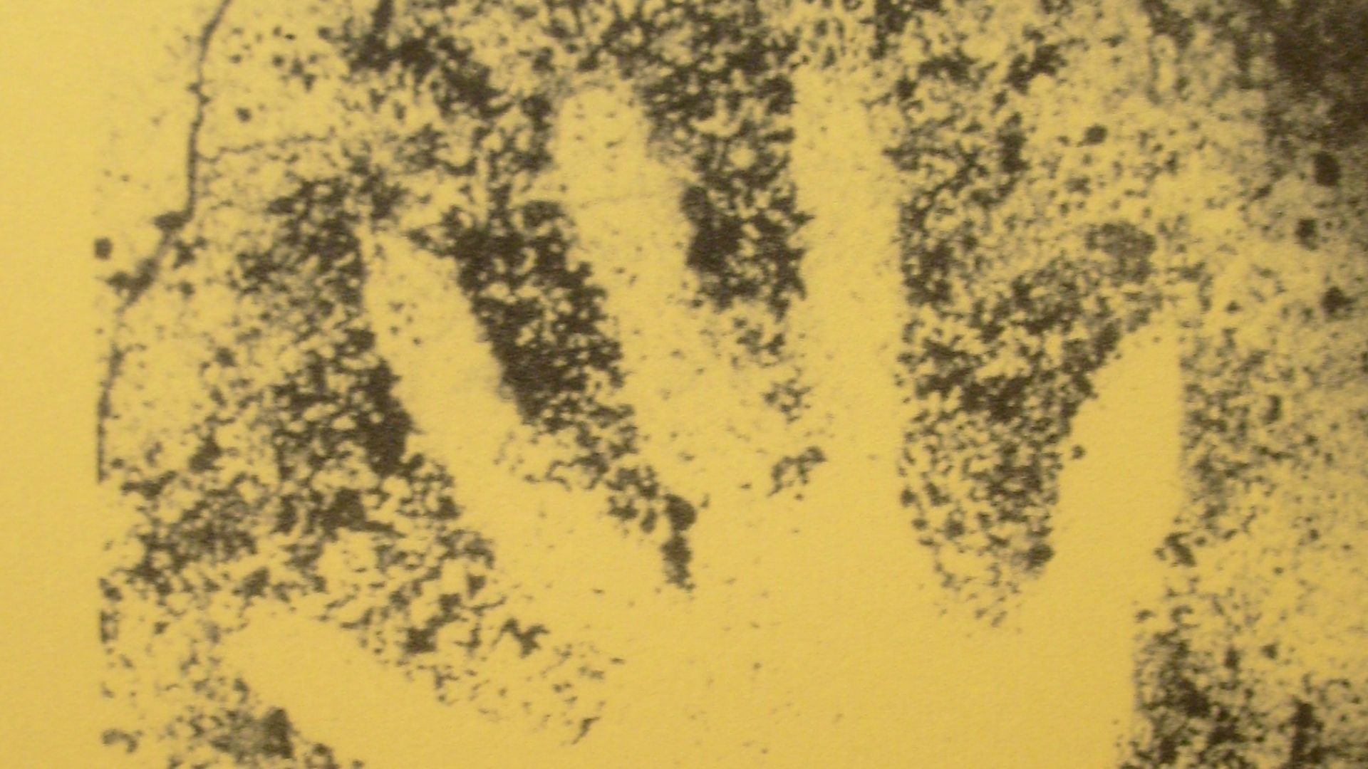 File:Prehistoric Hand Outline Cosquer Cave.JPG
