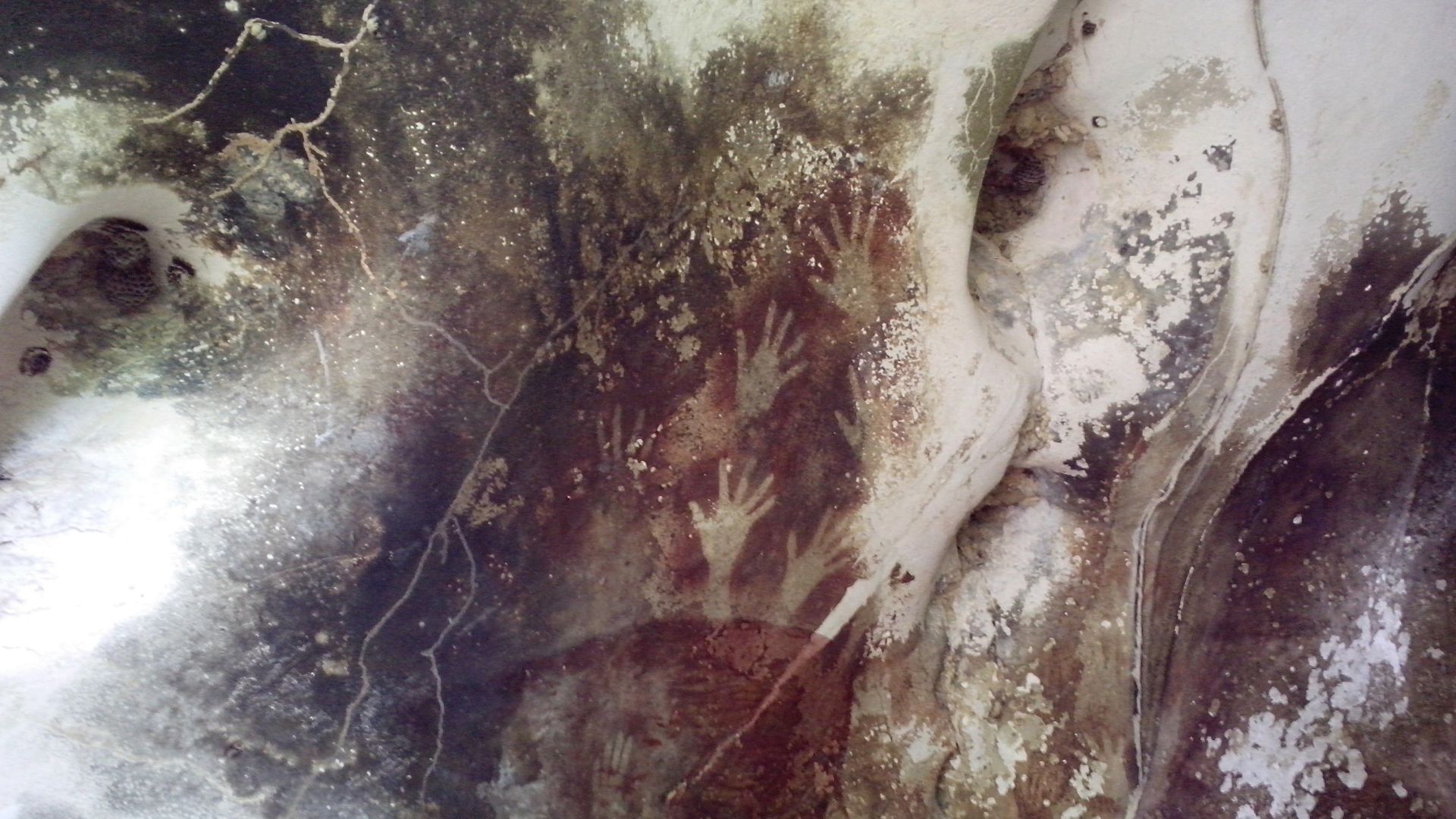 File:Hands in Pettakere Cave.jpg