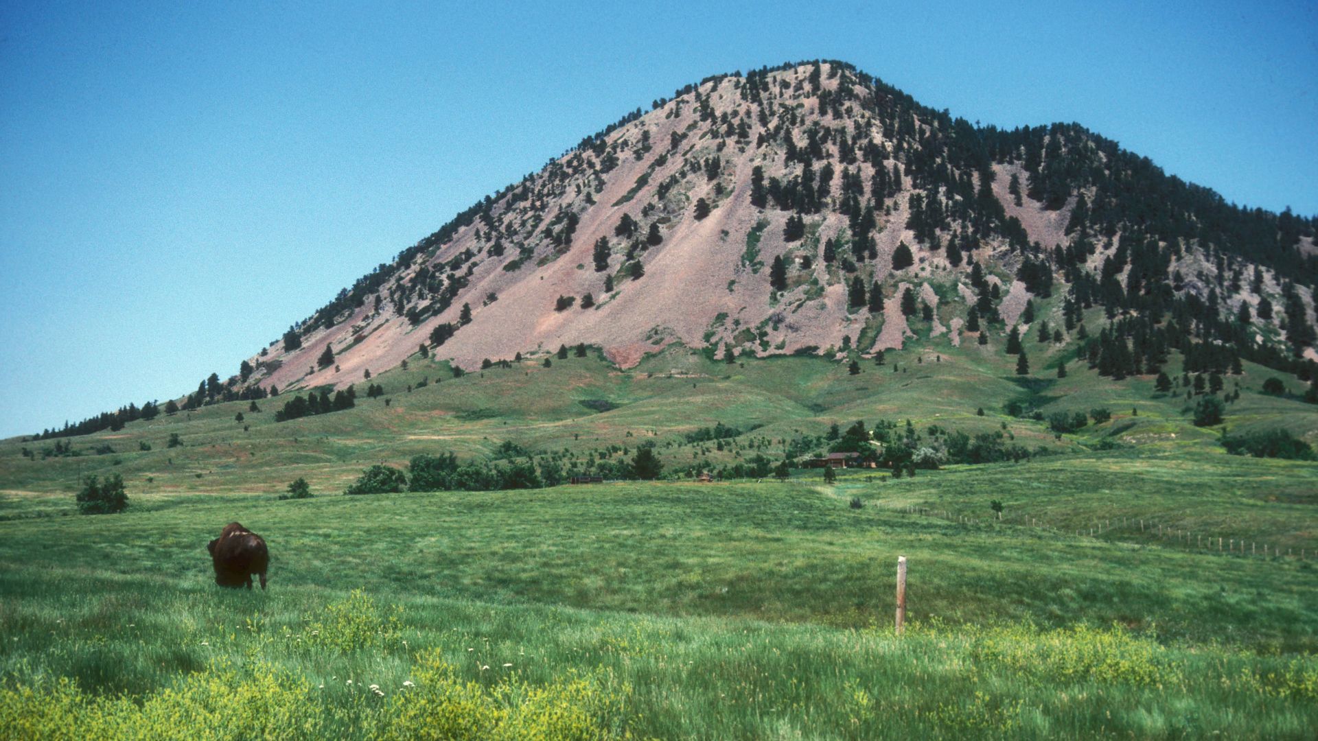File:BEAR BUTTE.jpg