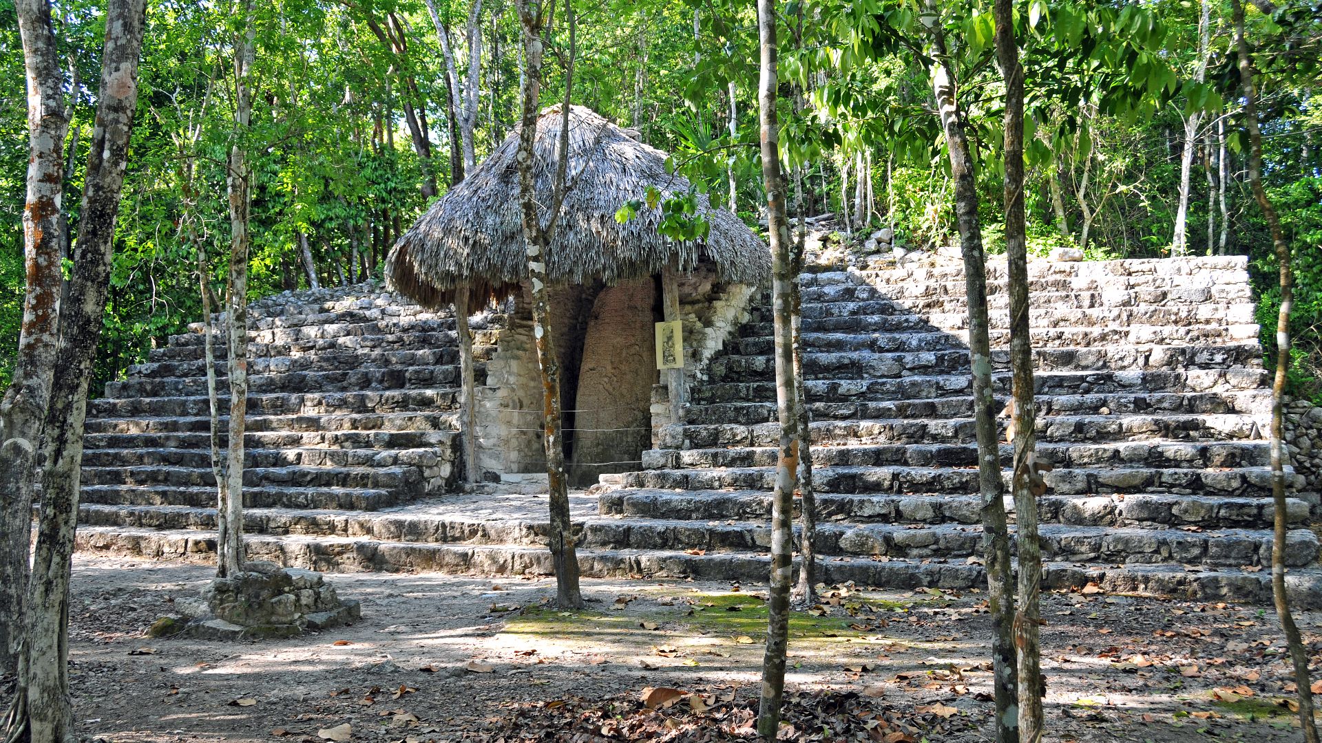 File:Mexico-6890 (4750729842).jpg