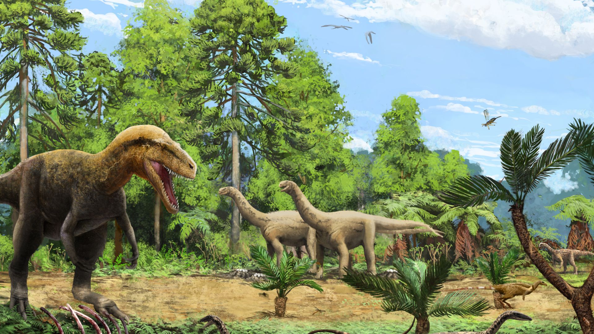 File:Ciechocinek Formation Reconstruction.jpg