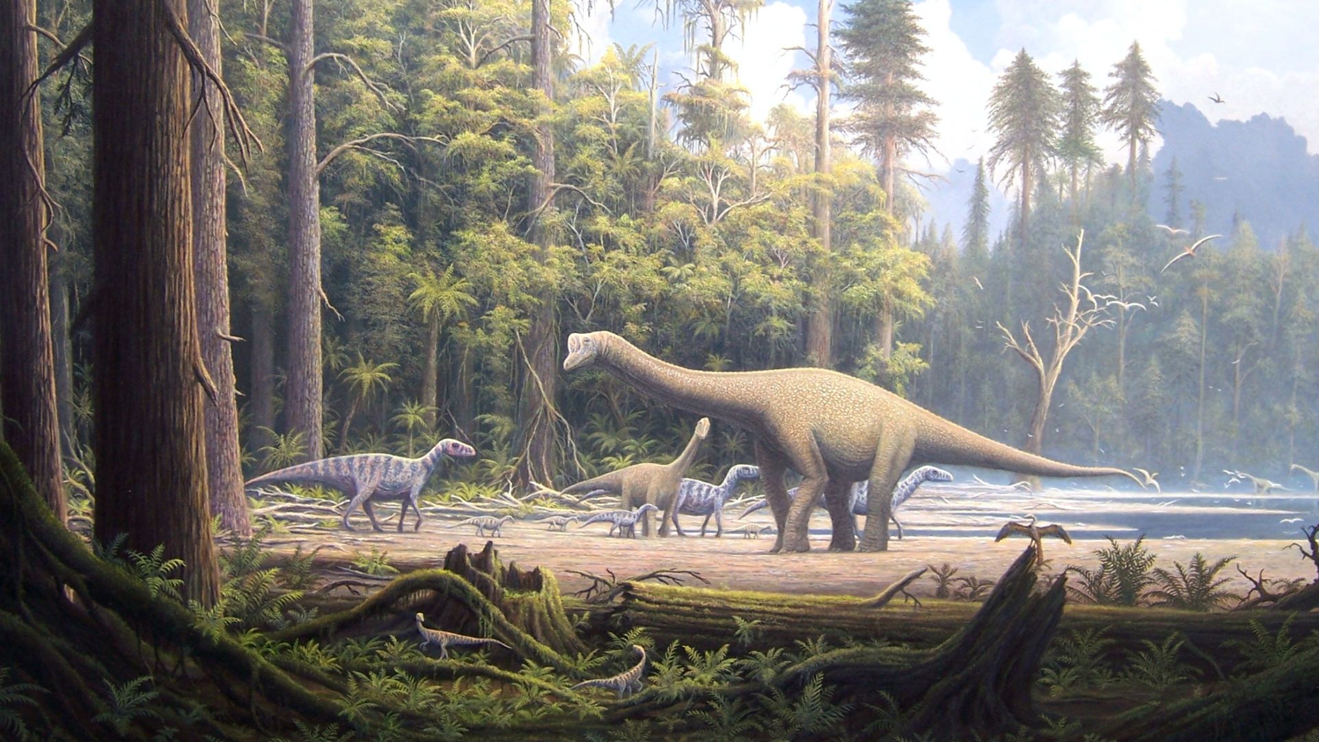 File:Europasaurus holgeri Scene 2.jpg